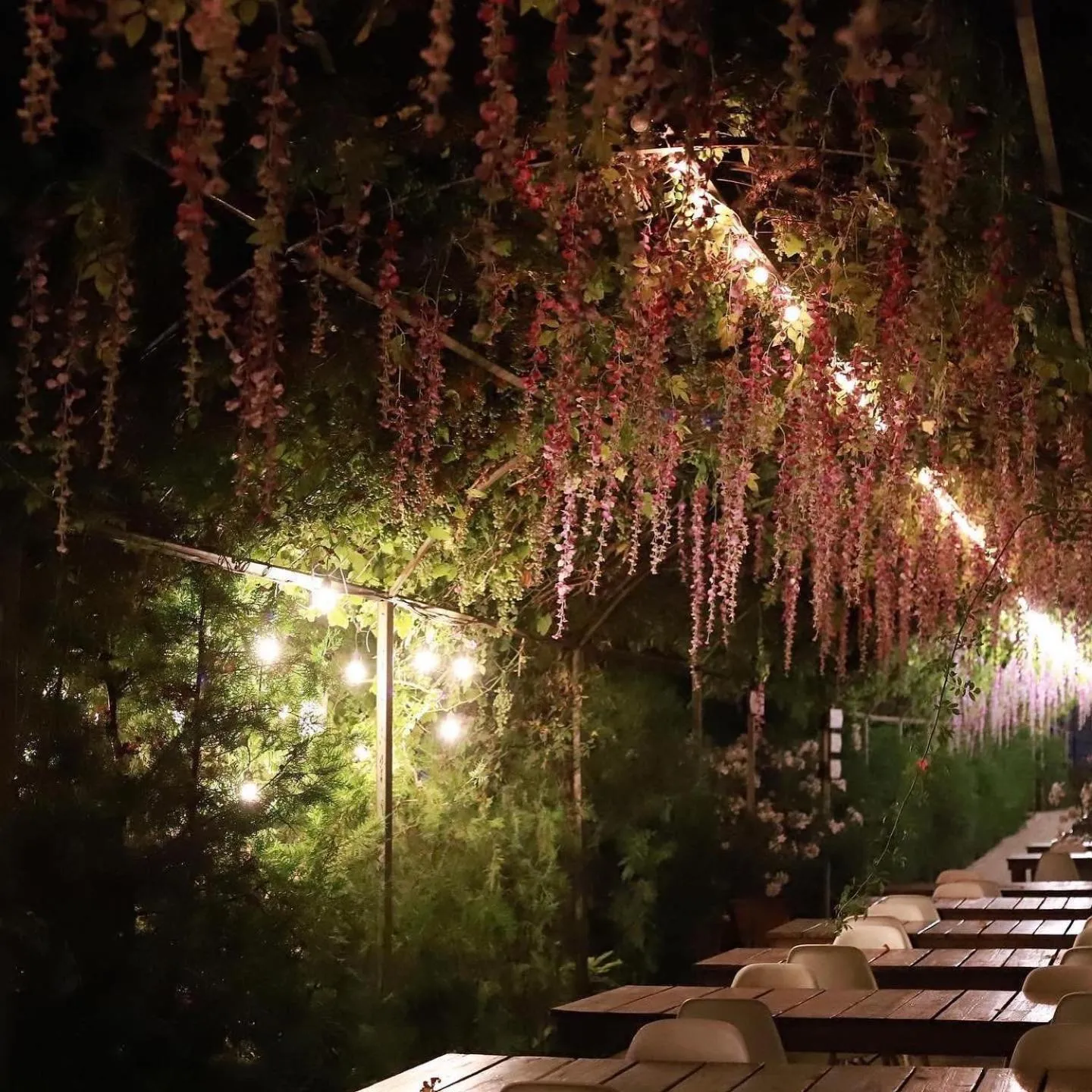 Swimming pool in Cross Apartments and Tours