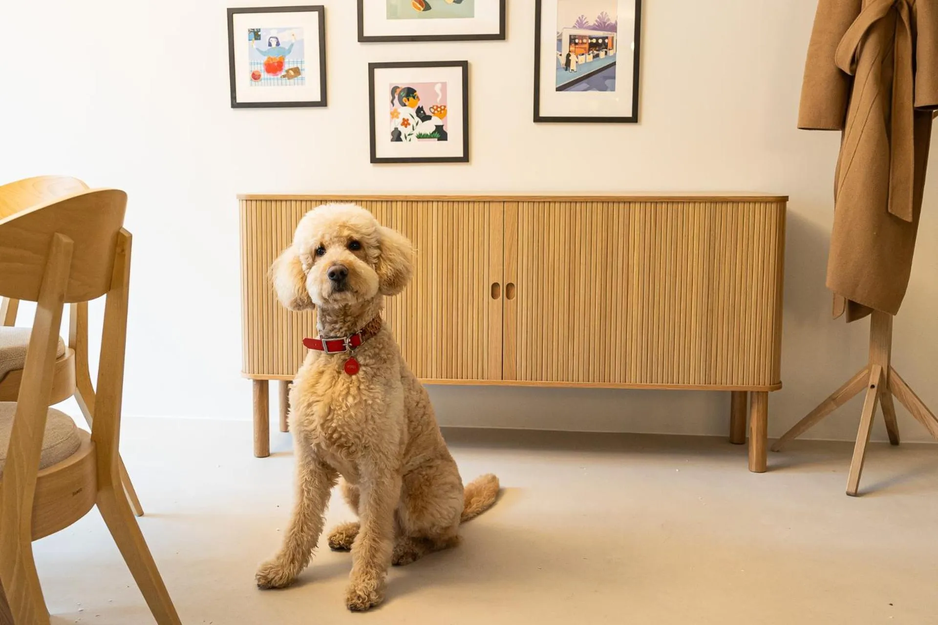 Lobby or reception in Chez Zeiza