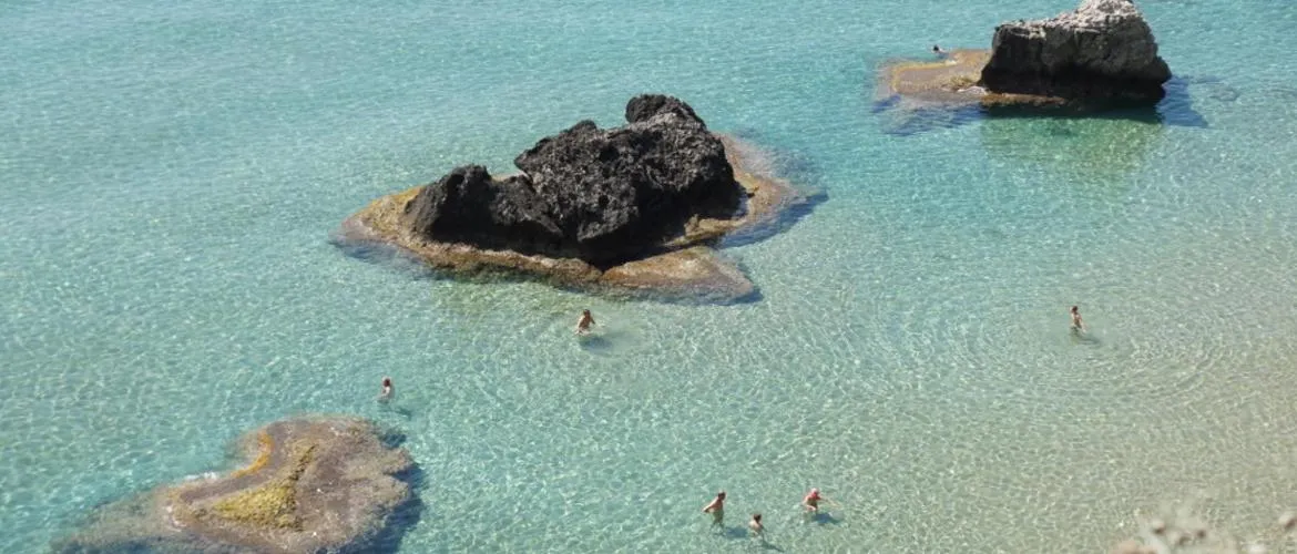 Other in Georgina Apartments