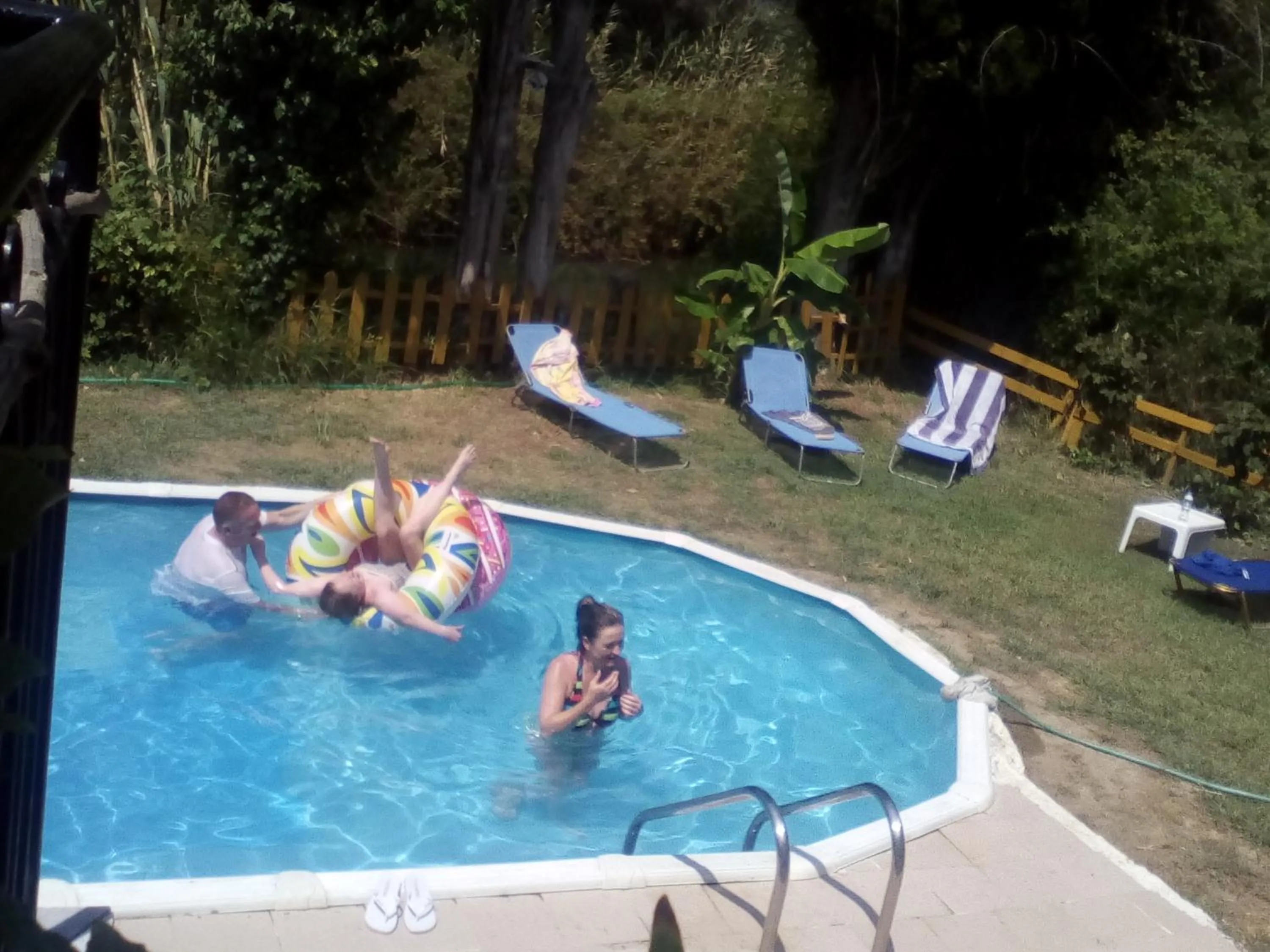 Swimming pool in Georgina Apartments