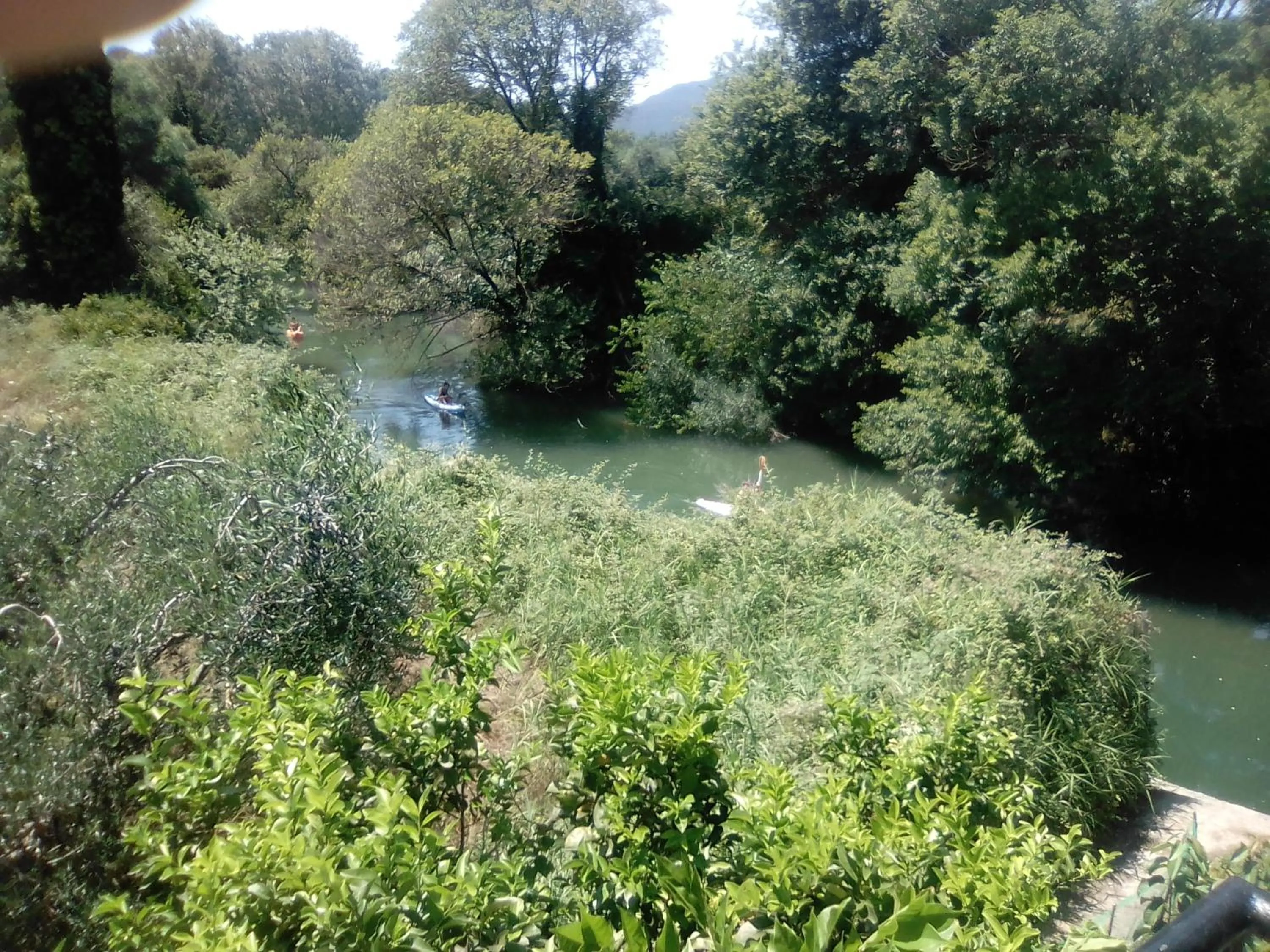 Natural landscape in Georgina Apartments