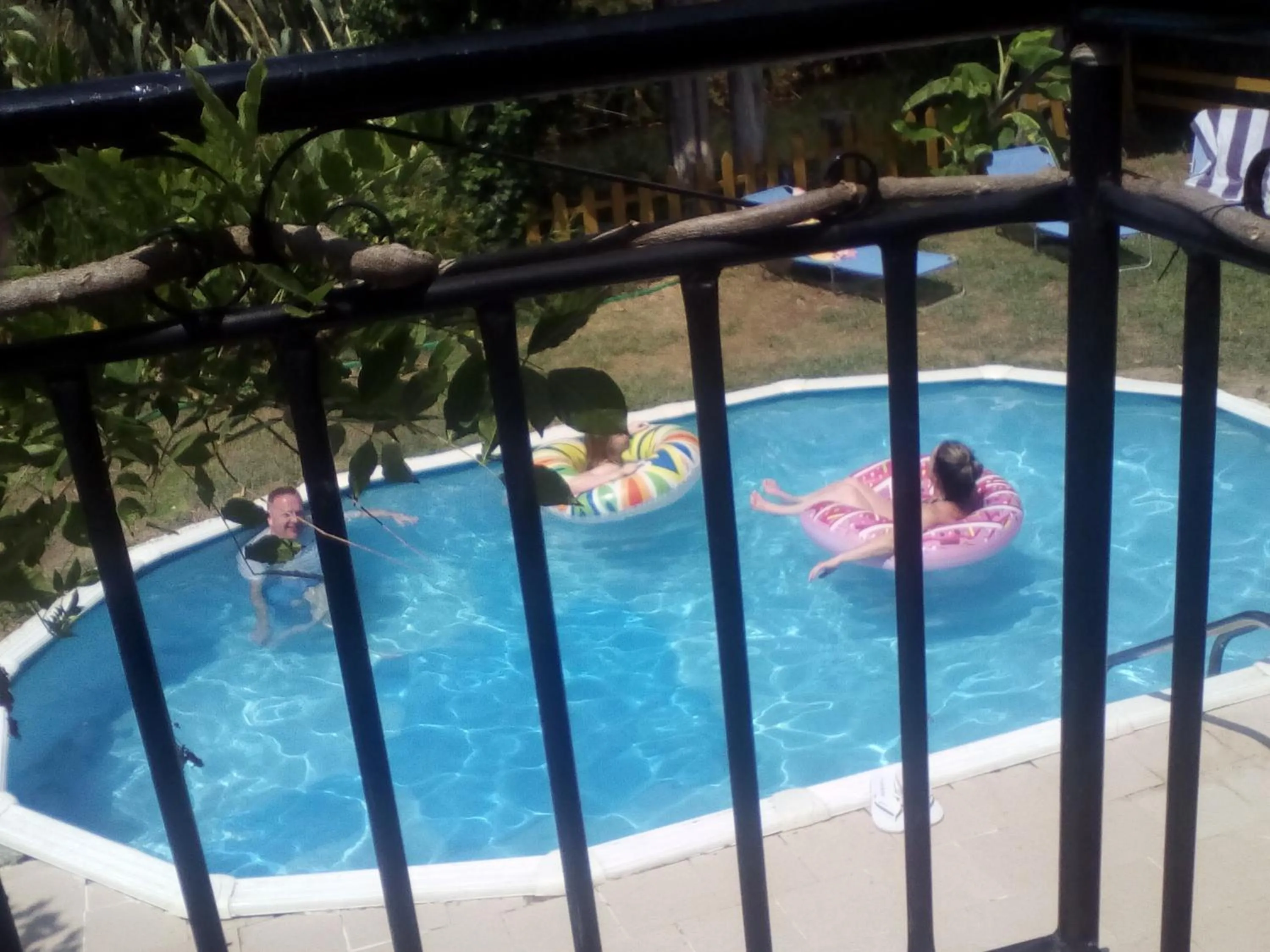 Swimming pool in Georgina Apartments