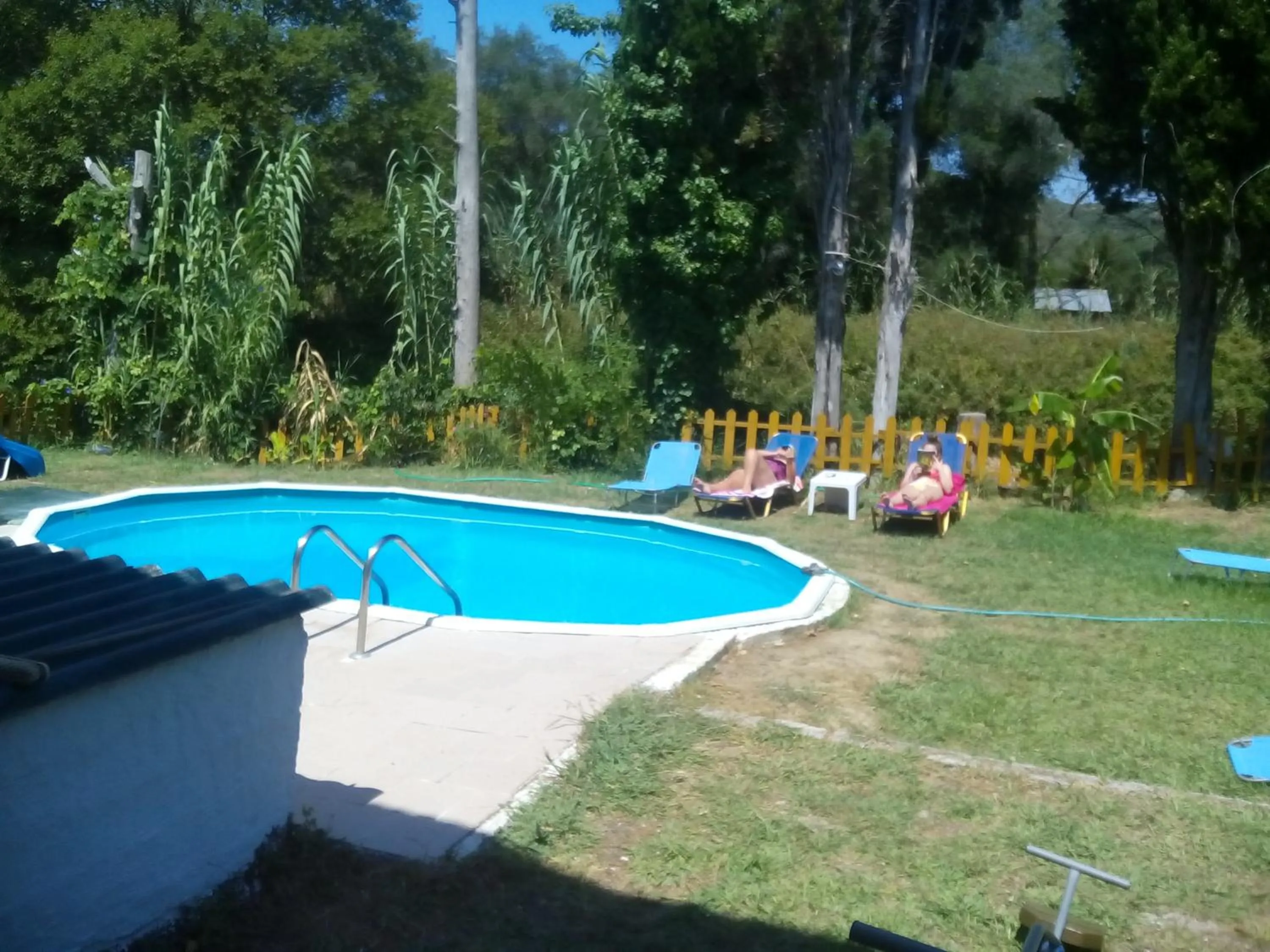 Swimming pool in Georgina Apartments