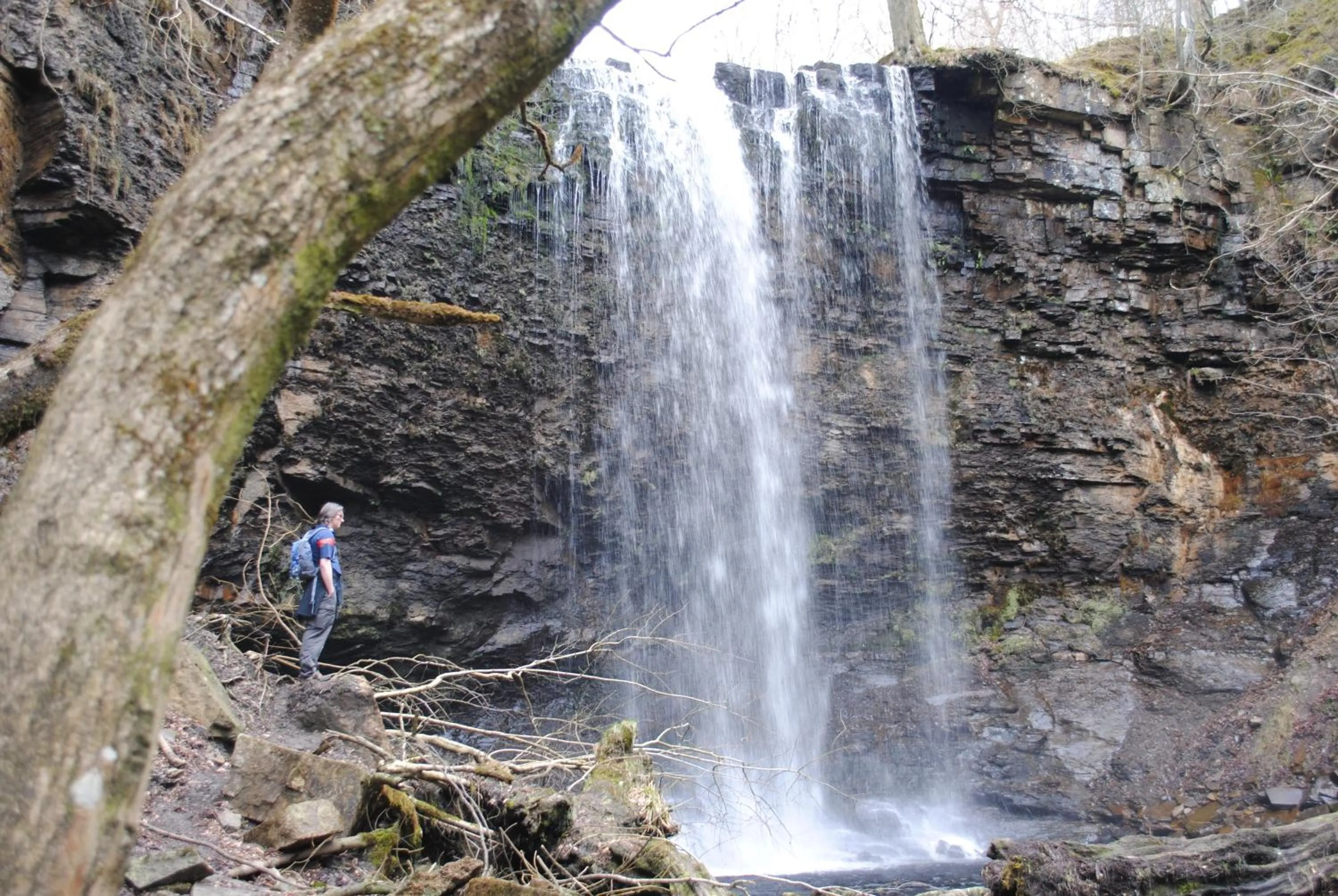 Natural landscape in Sykes House