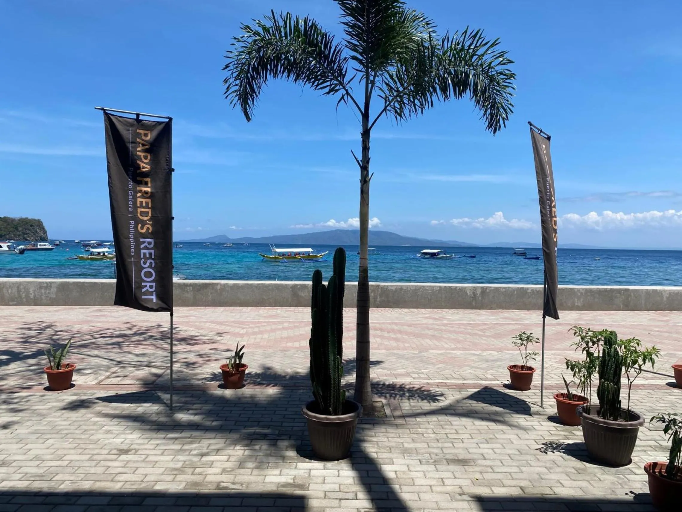 View (from property/room) in Papa Freds Beach Resort