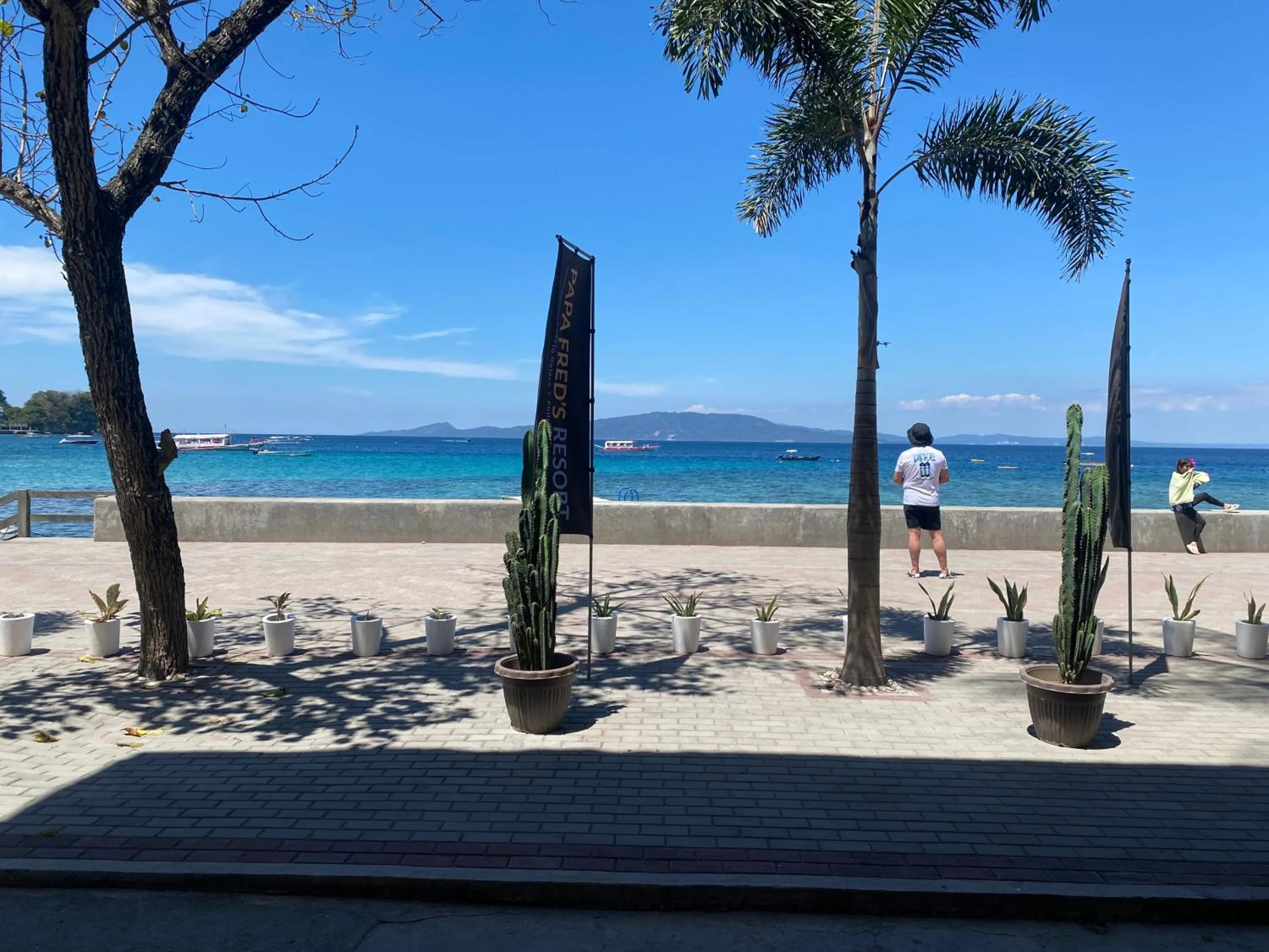 View (from property/room) in Papa Freds Beach Resort