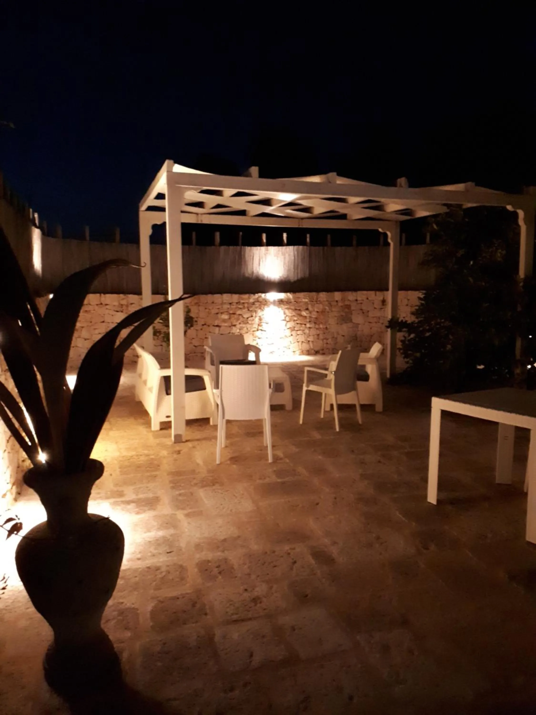 OLYMPUS PARK amnesia