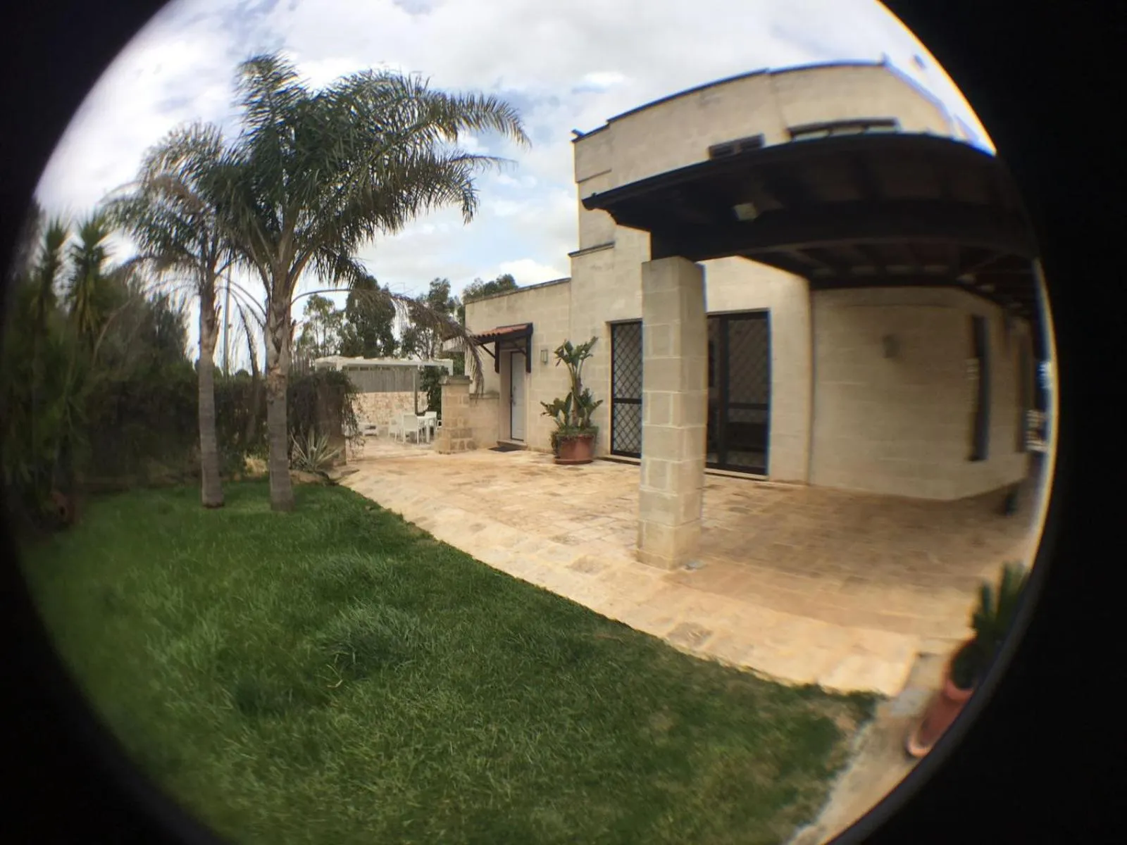 OLYMPUS PARK amnesia