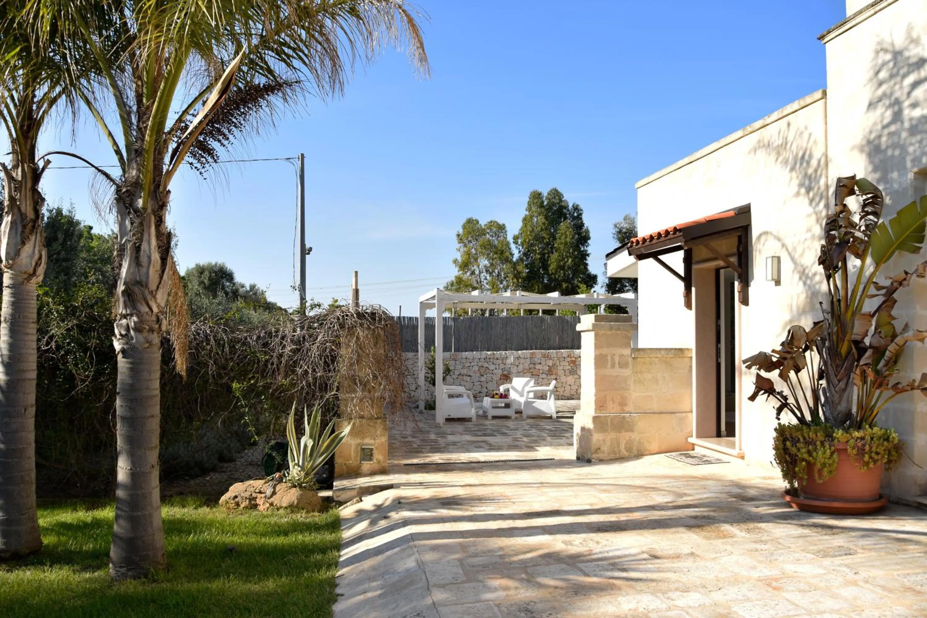 OLYMPUS PARK amnesia