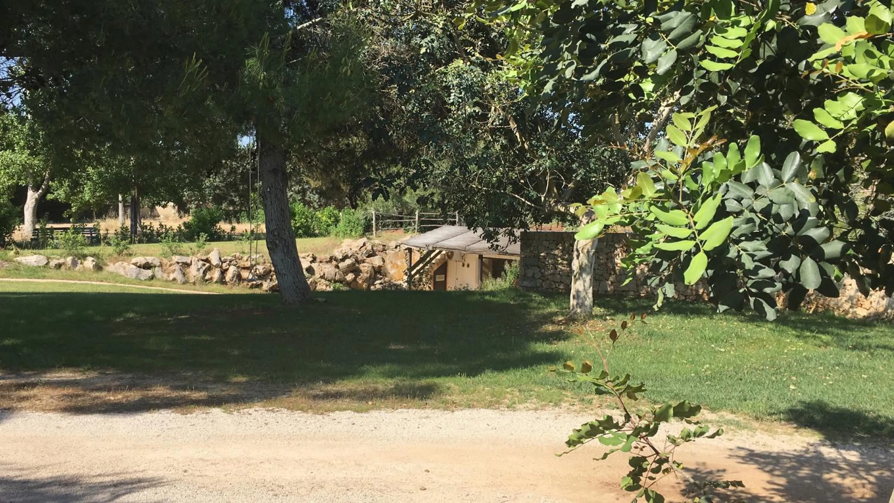 OLYMPUS PARK amnesia