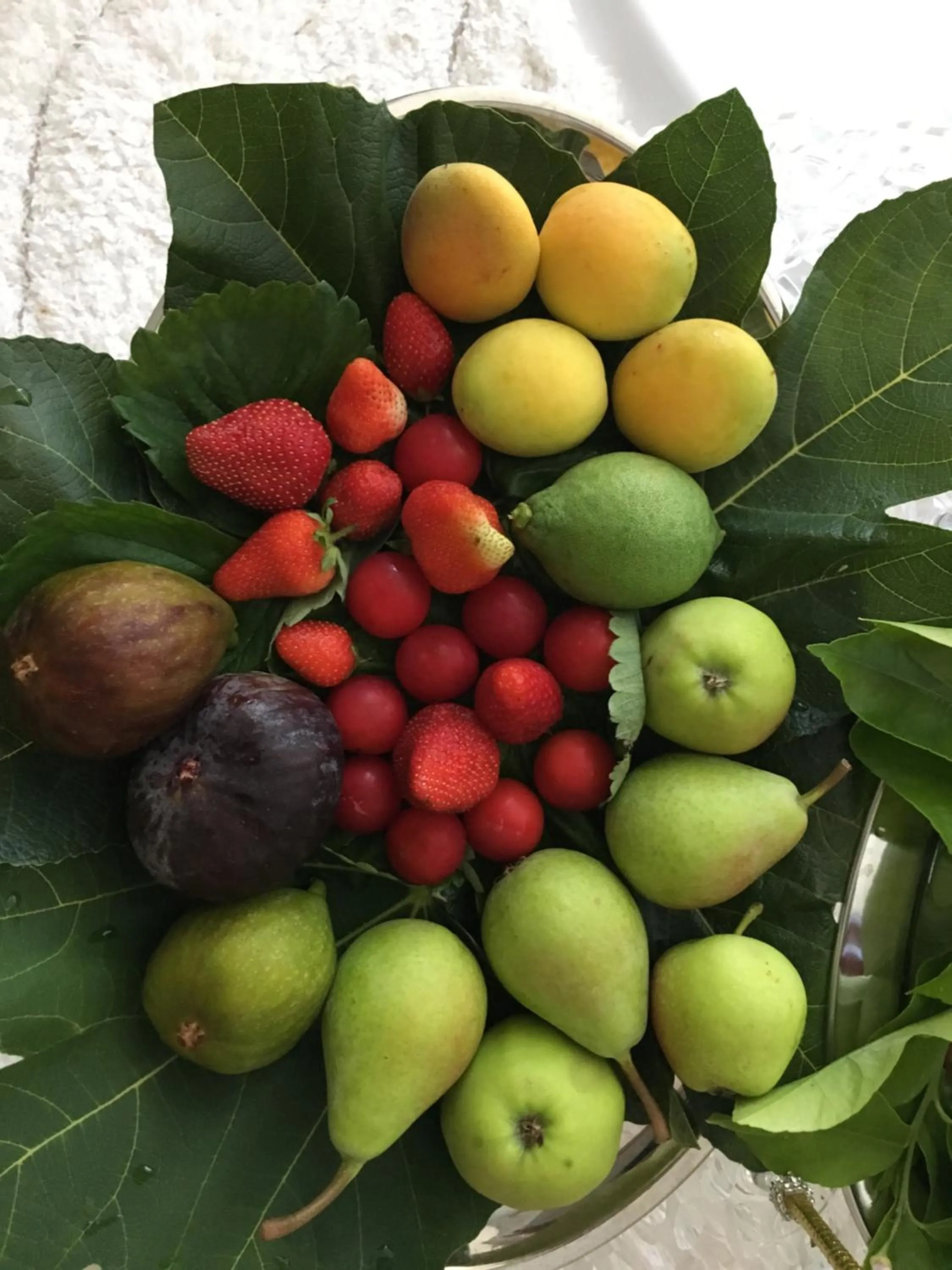 OLYMPUS PARK amnesia