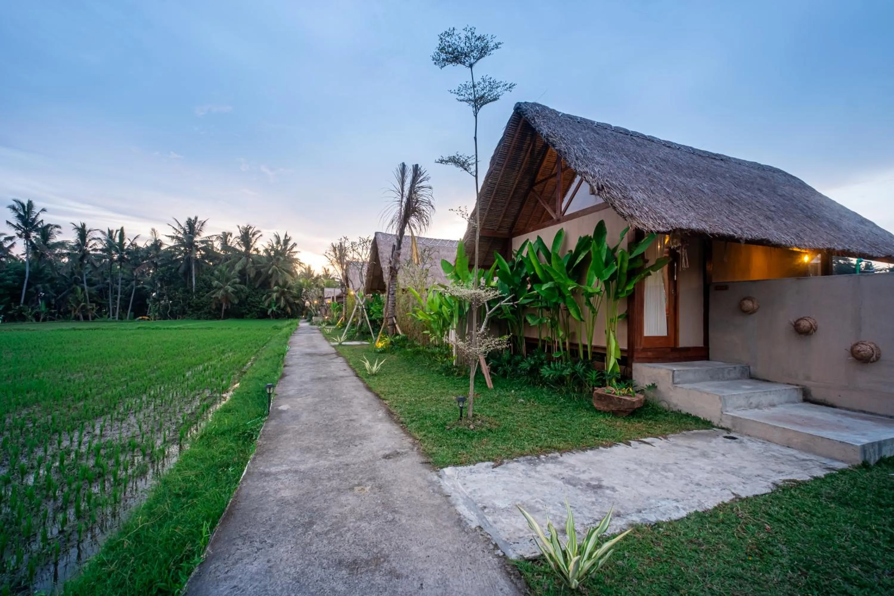 Property building in Pondok Mawas