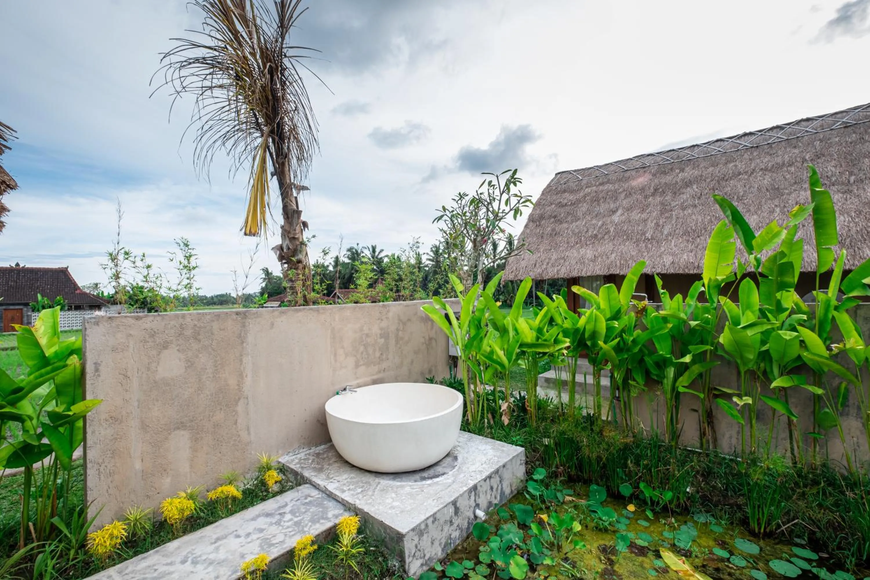 Spring in Pondok Mawas