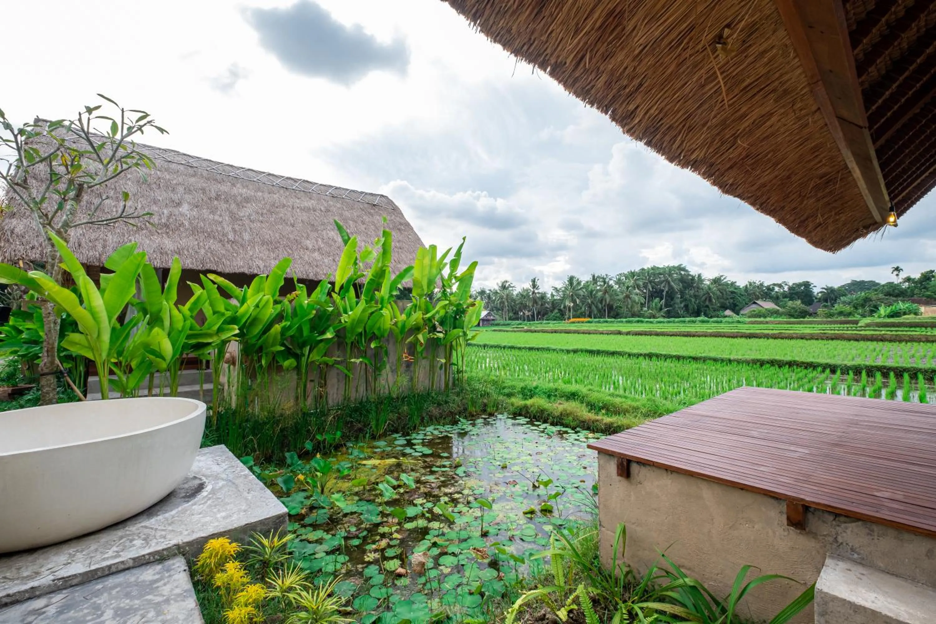 Patio in Pondok Mawas
