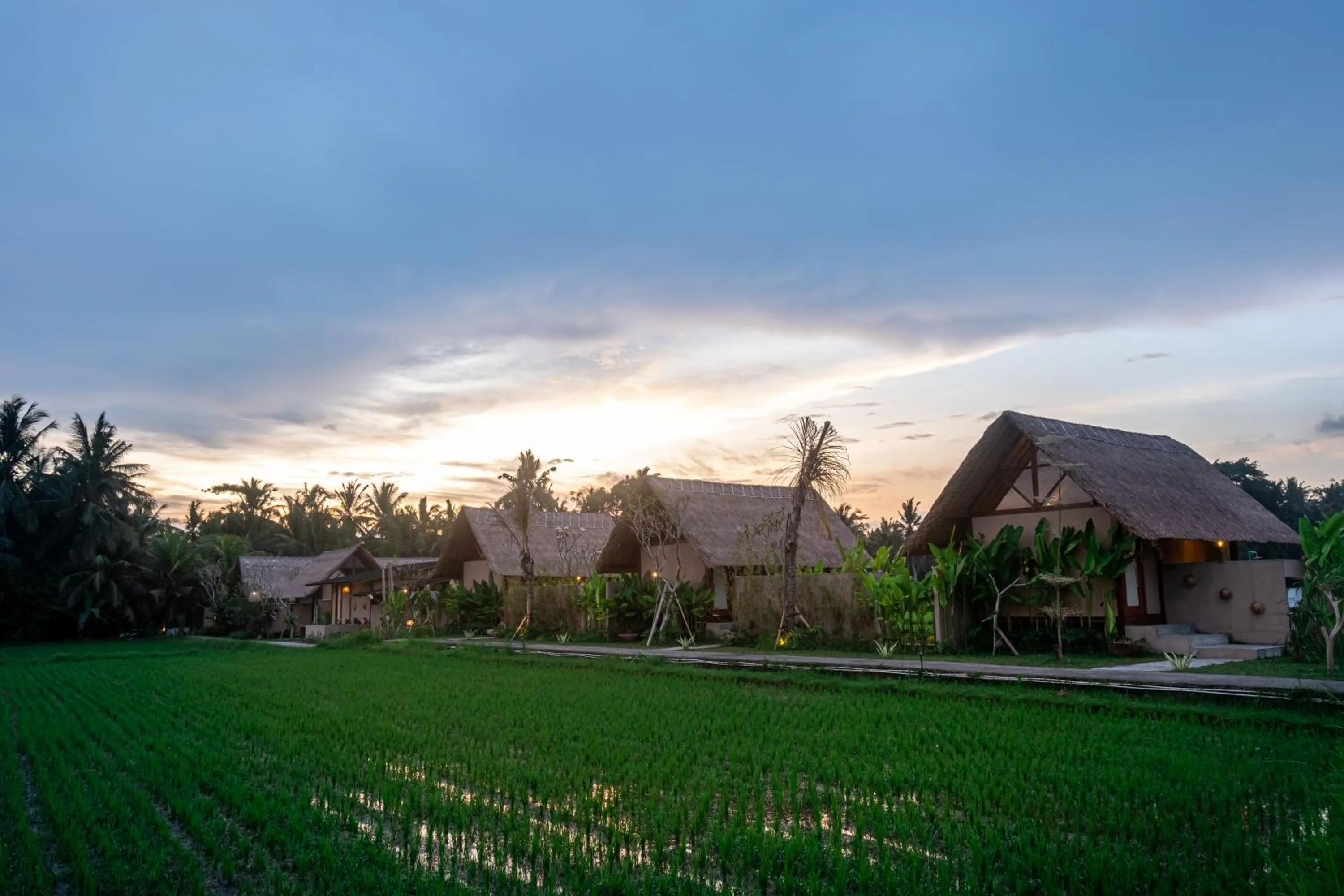 Property building in Pondok Mawas