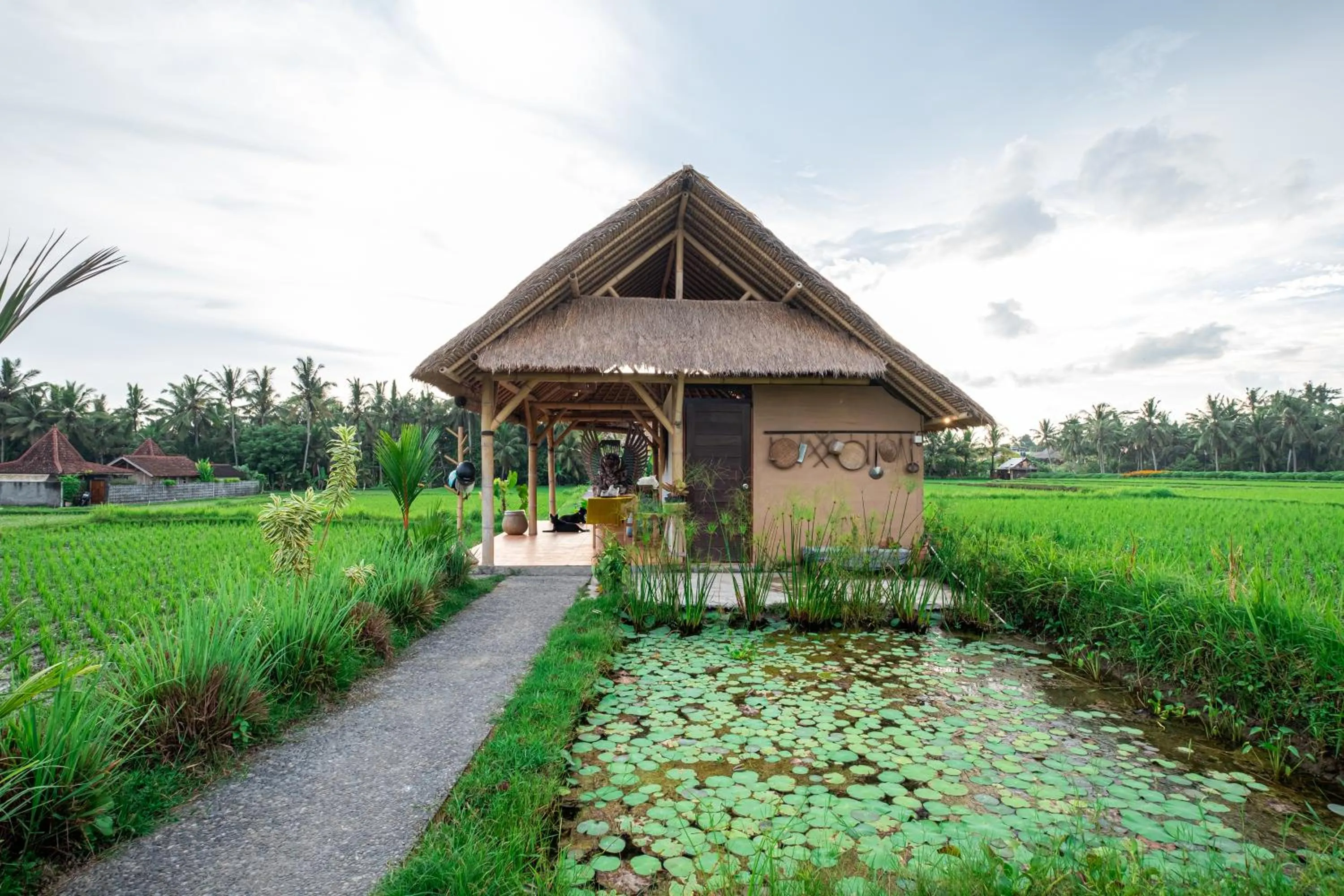 Property building in Pondok Mawas