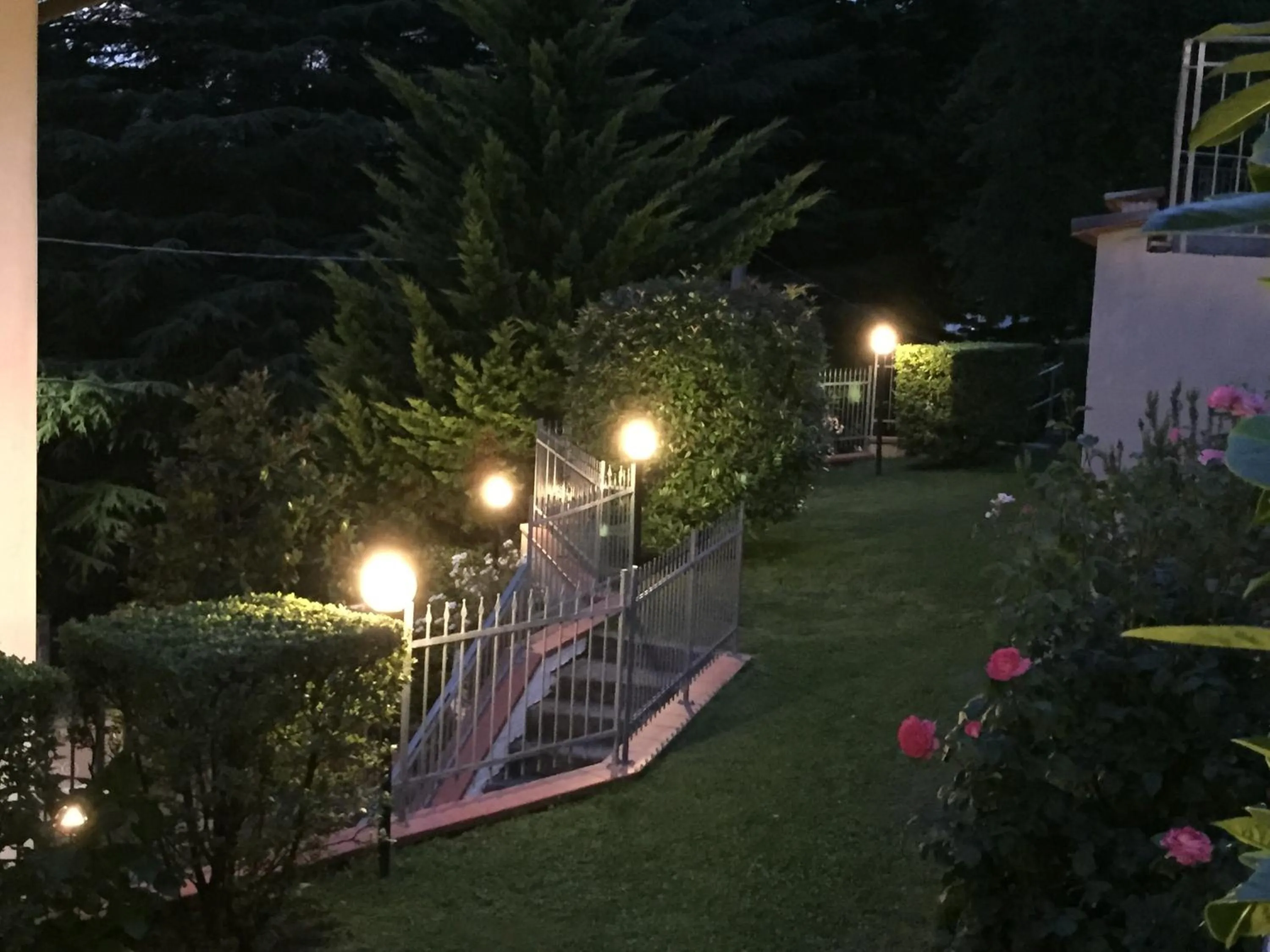 Garden in Albergo Elisa
