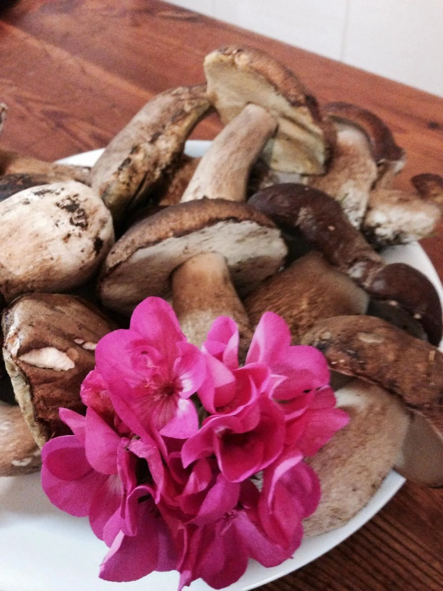 Food close-up in Albergo Elisa