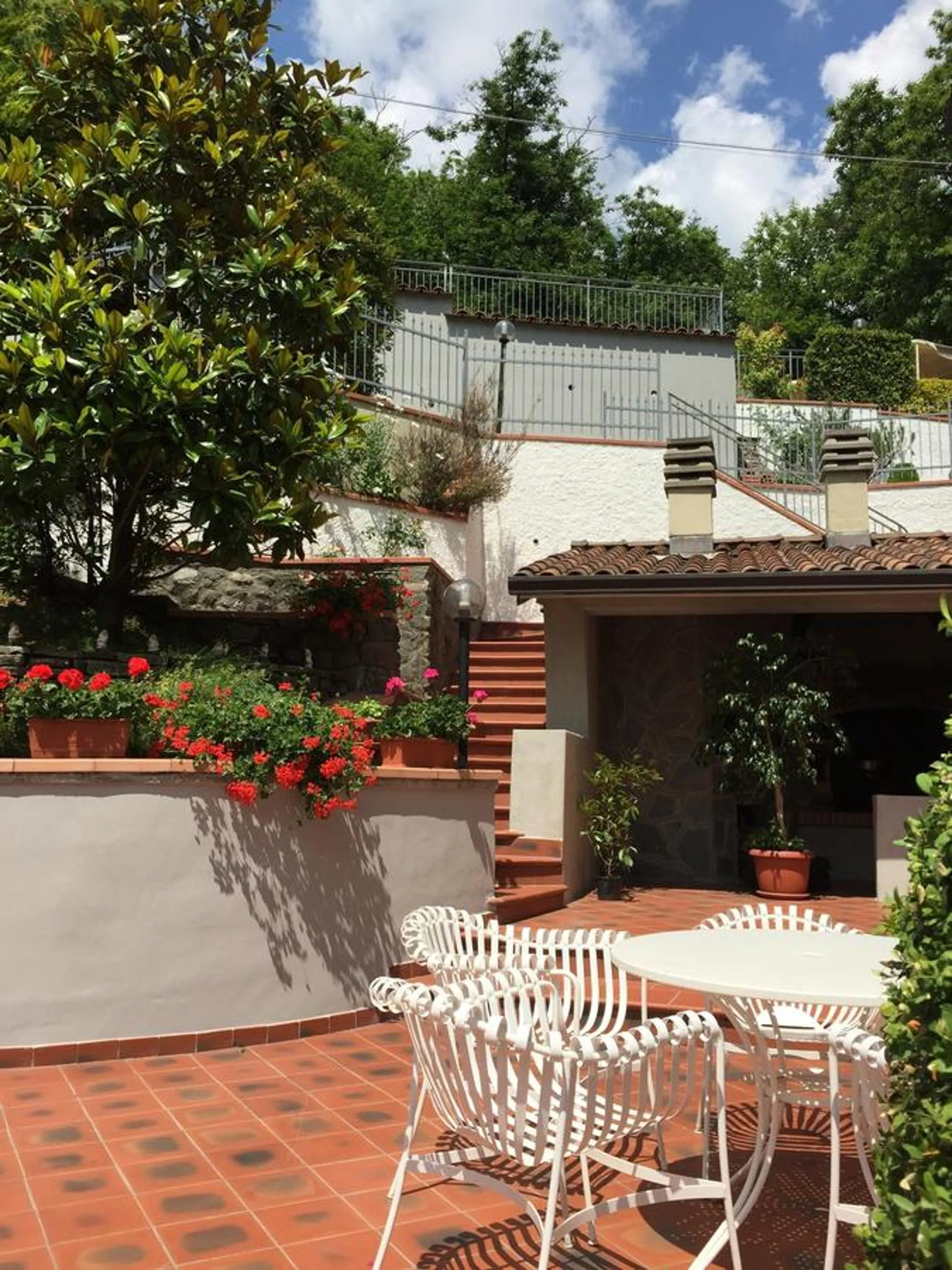 Area and facilities in Albergo Elisa