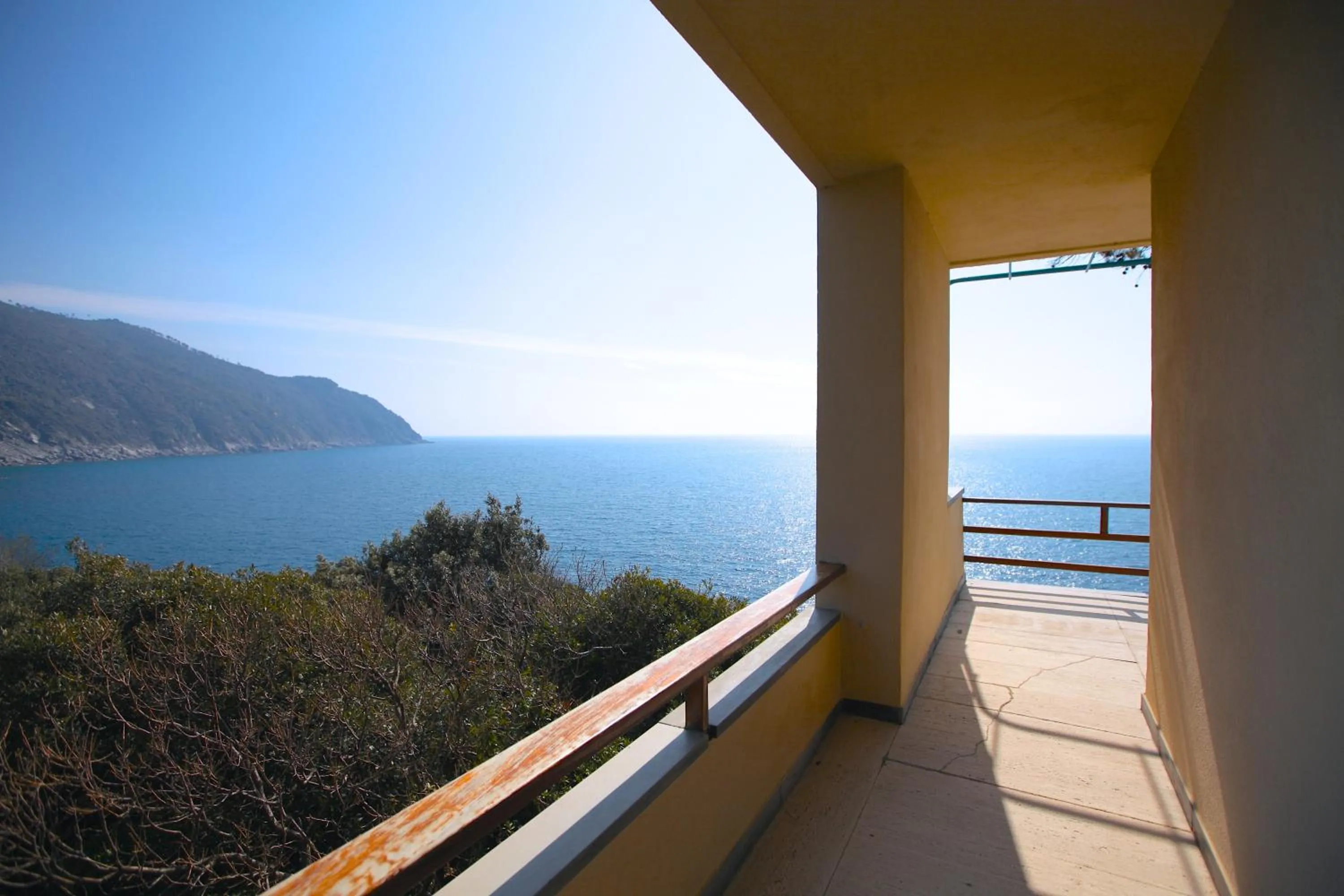 Spring in Villa Domus 1938