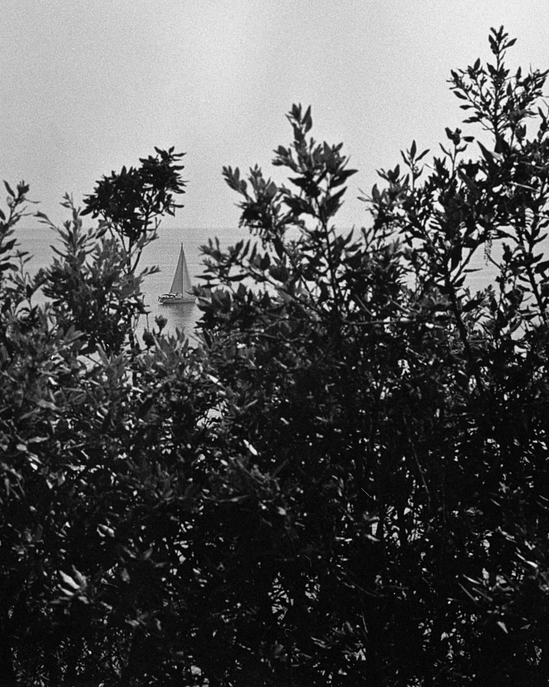 Day in Villa Domus 1938