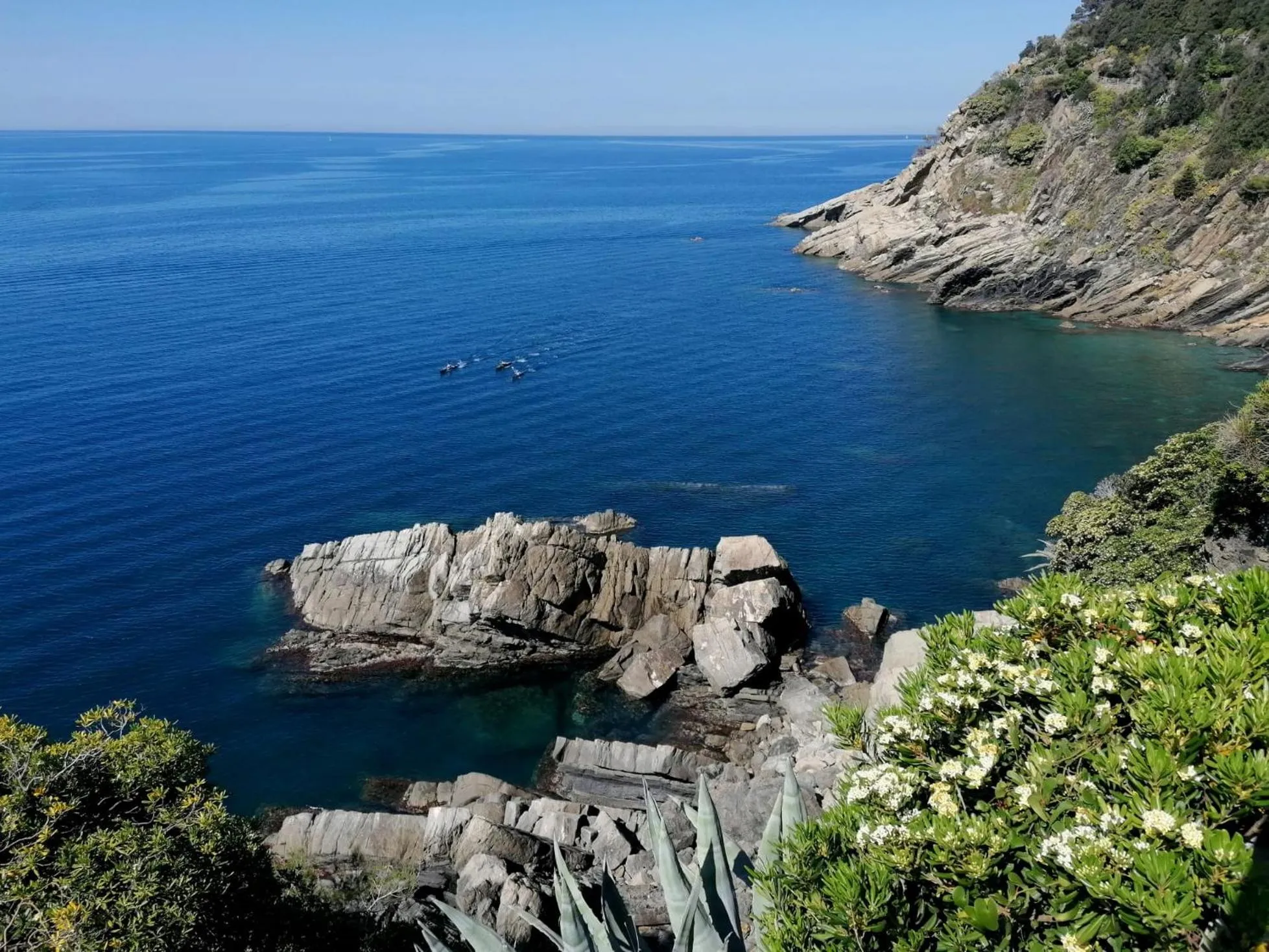 Natural landscape in Villa Domus 1938