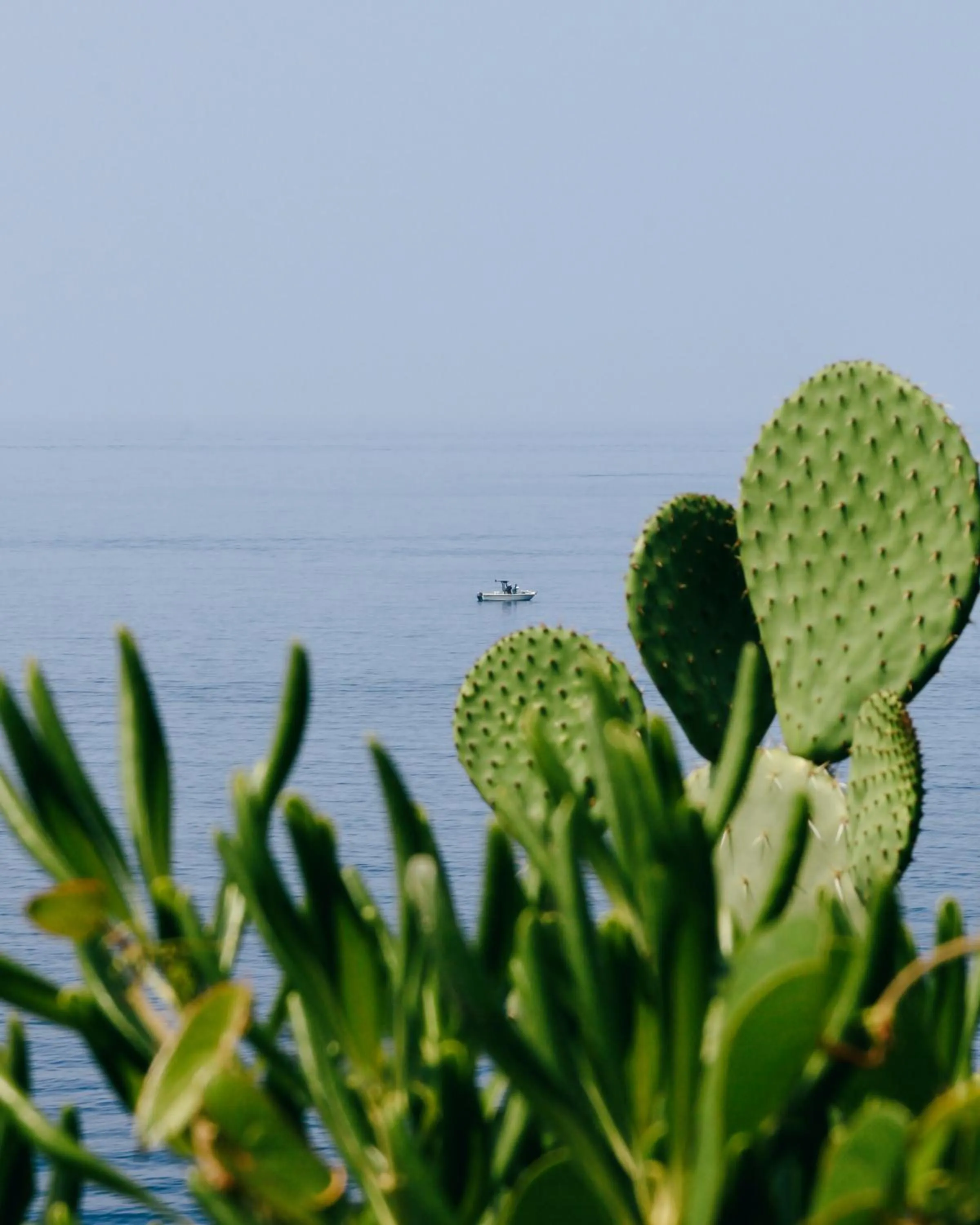 Day in Villa Domus 1938