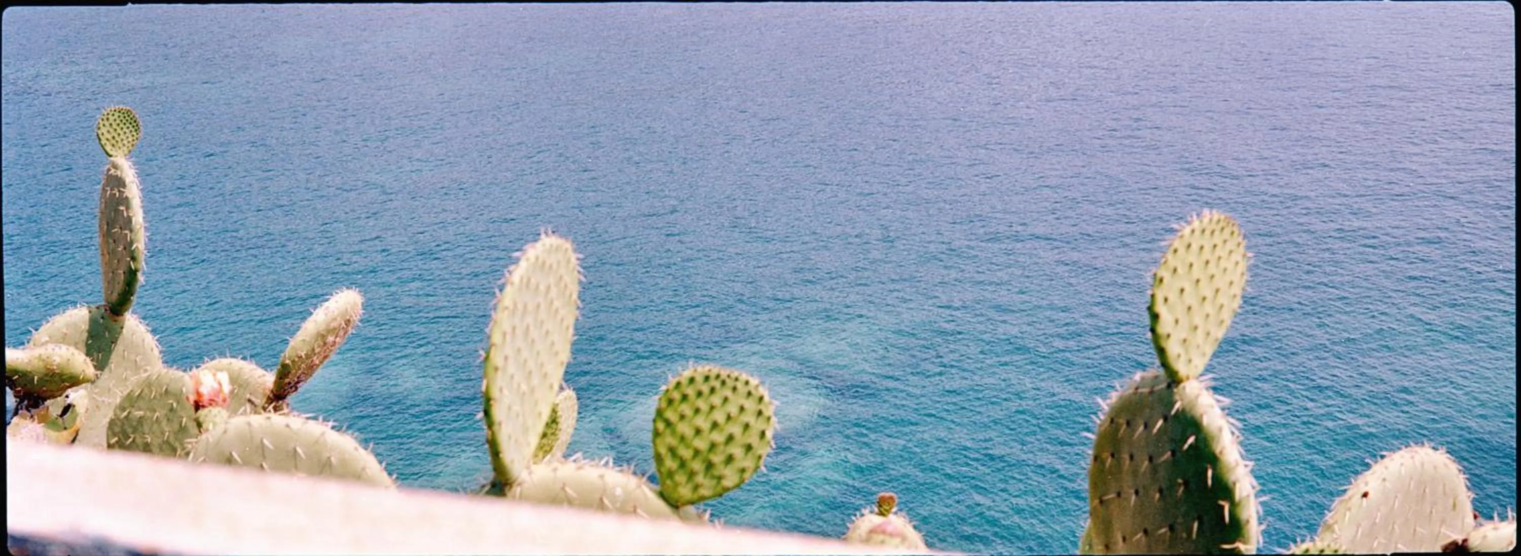 Day in Villa Domus 1938