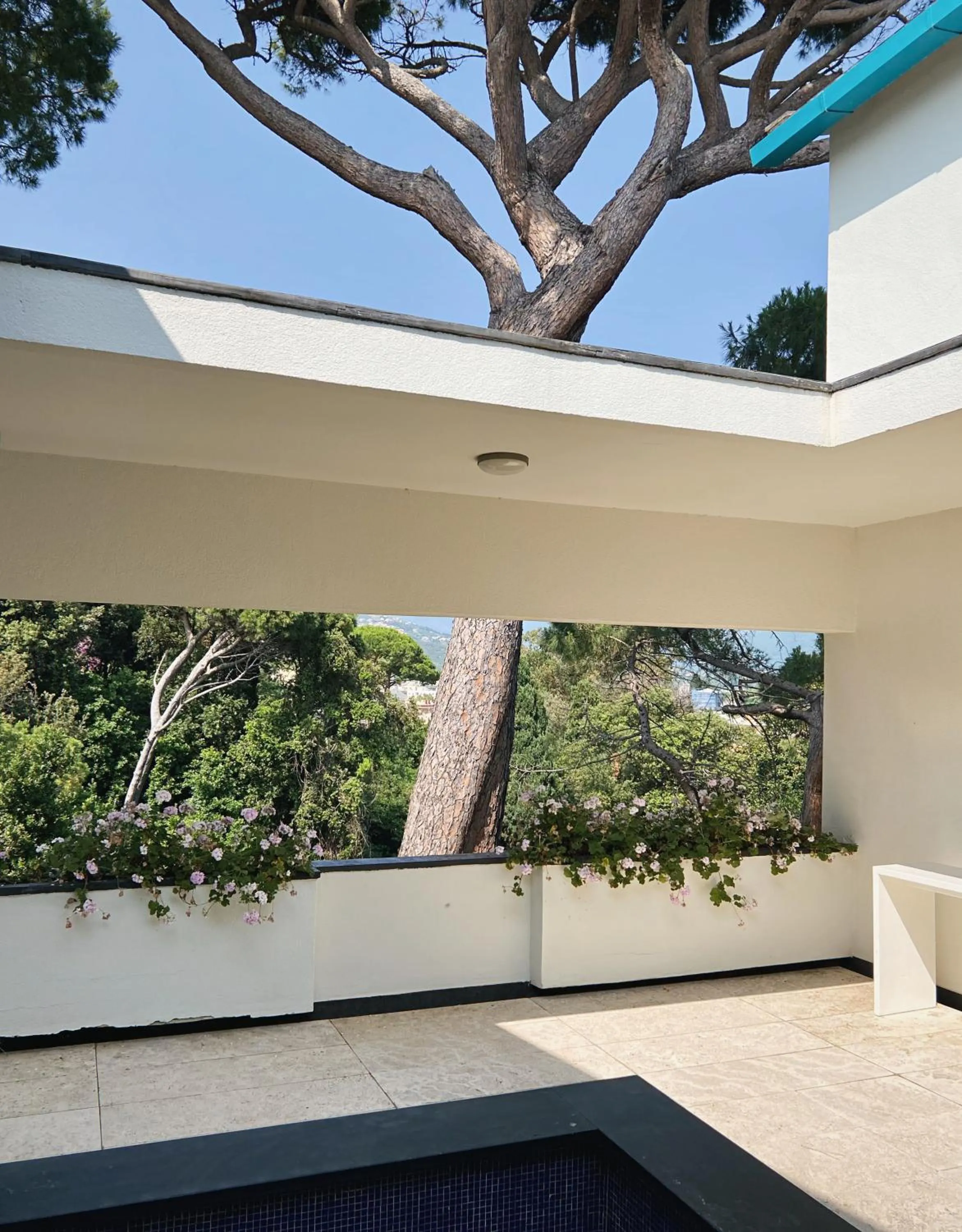 Natural landscape in Villa Domus 1938