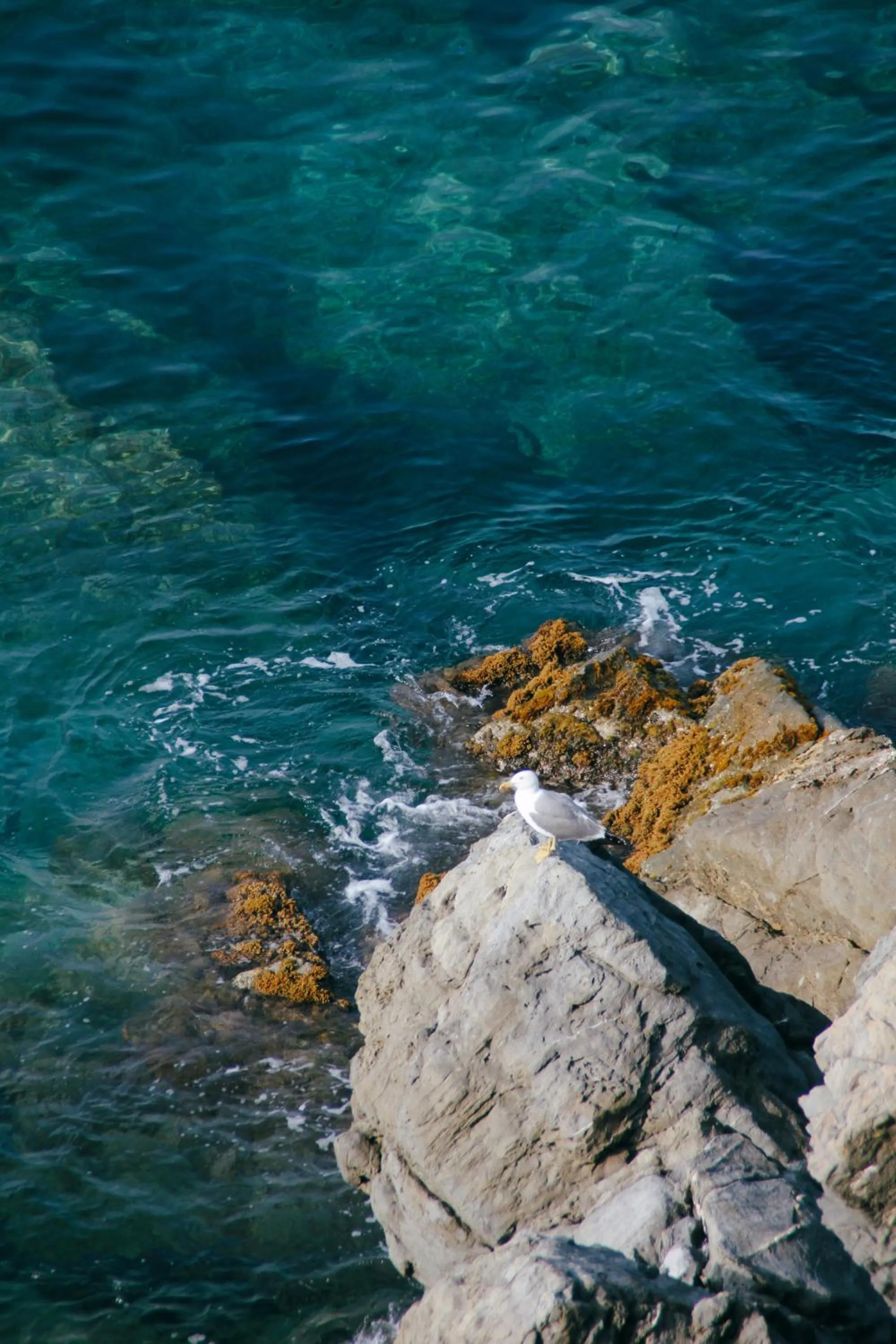 Day in Villa Domus 1938