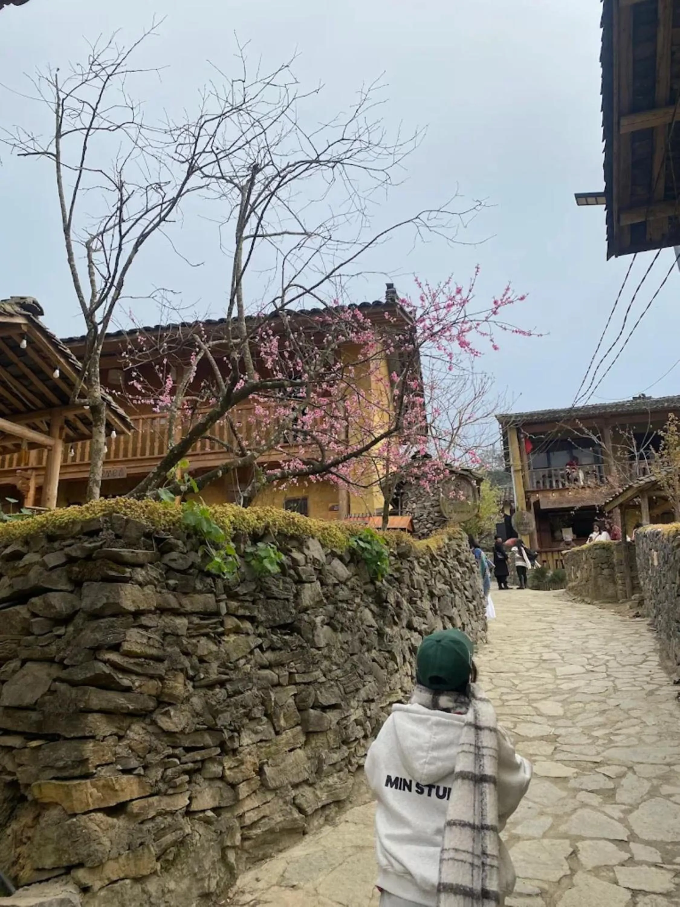 Property building in Chanh Homestay Lô Lô Chải