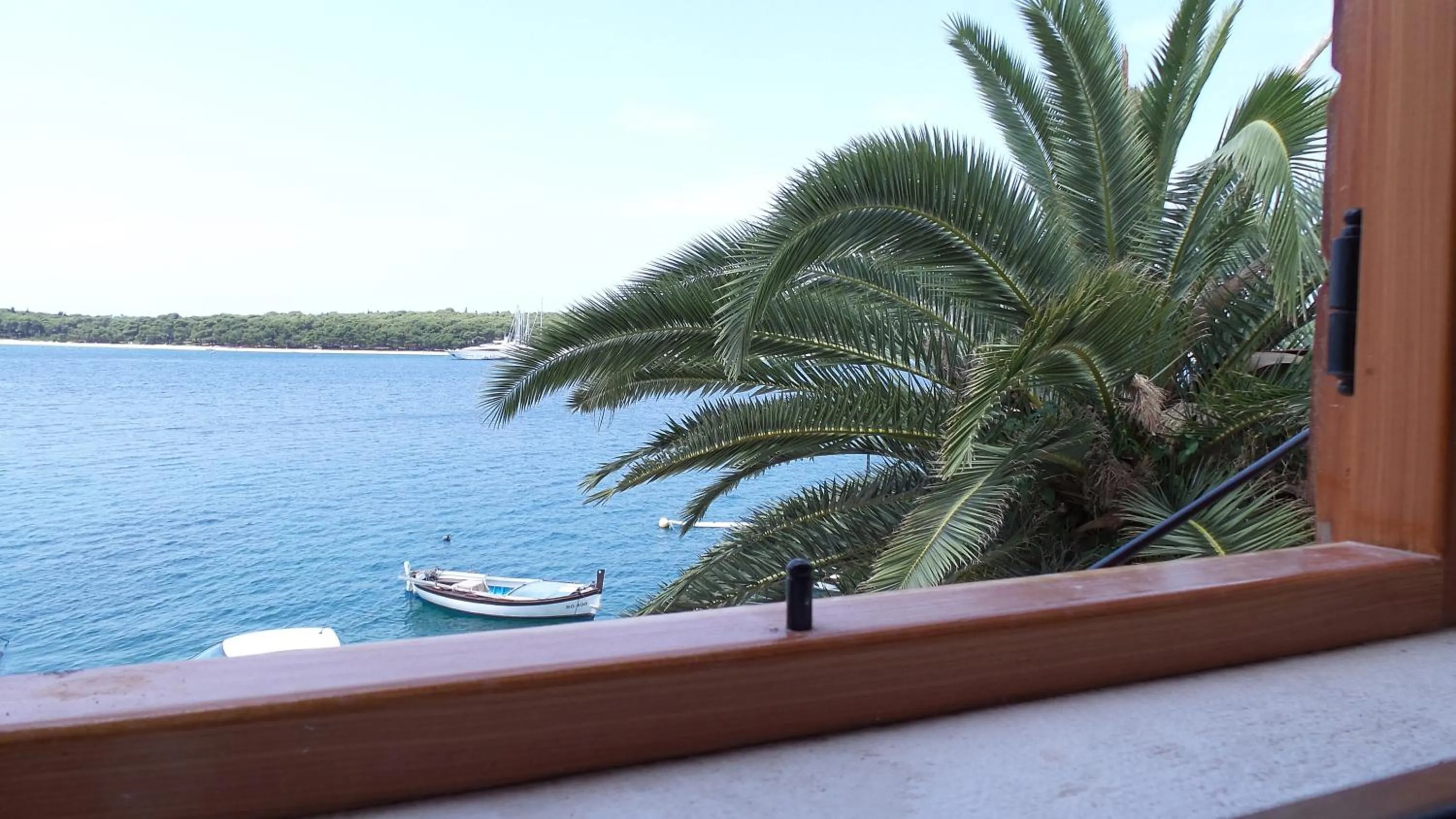 Sea view in Apartments Dvor