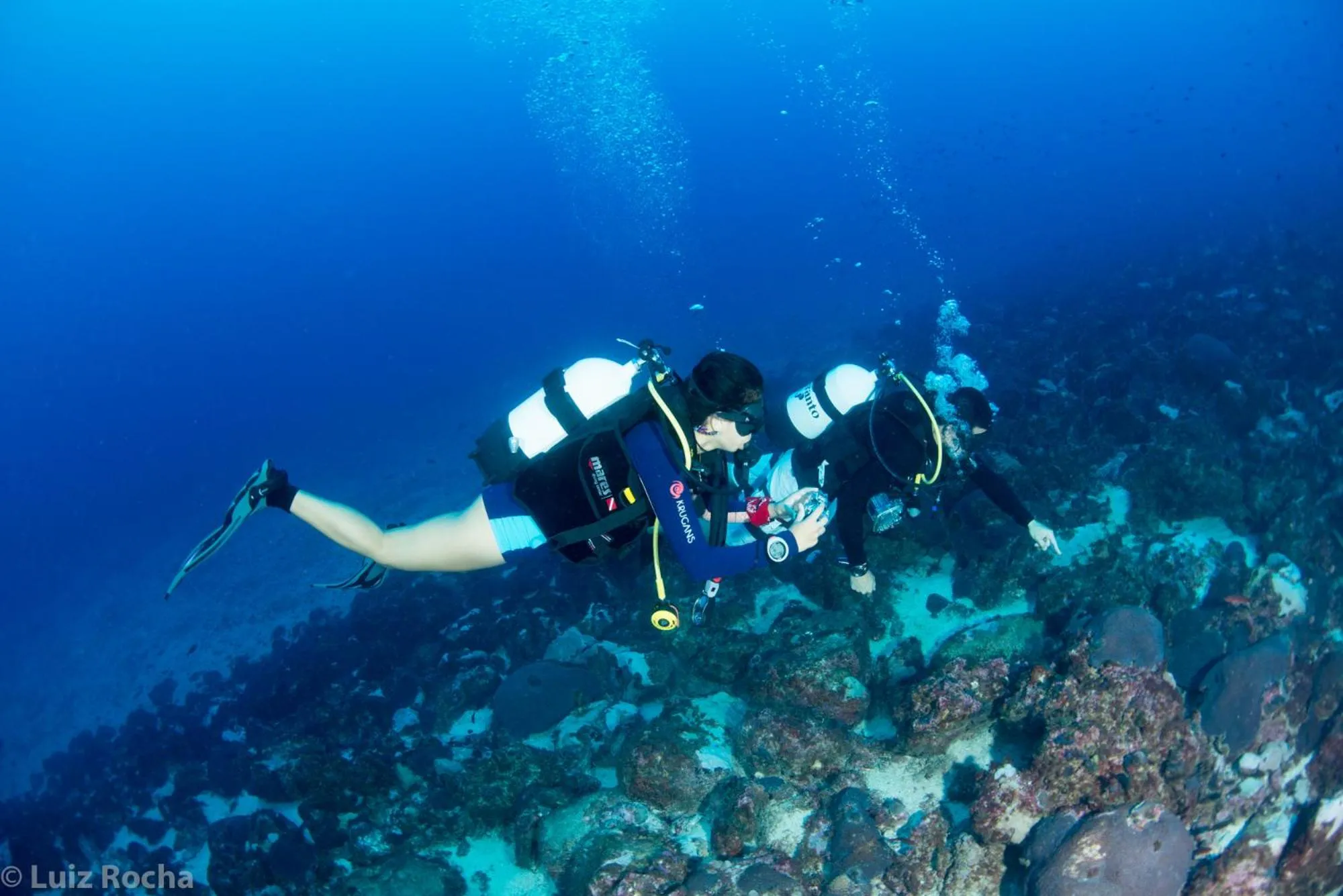 Snorkeling in Belo Monte Hotel and Museum