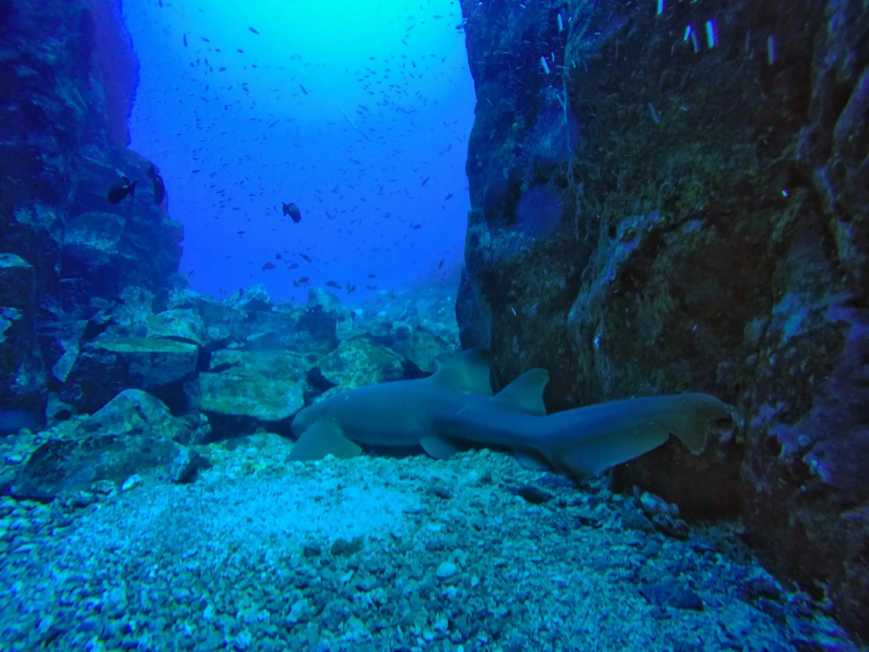 Diving in Belo Monte Hotel and Museum