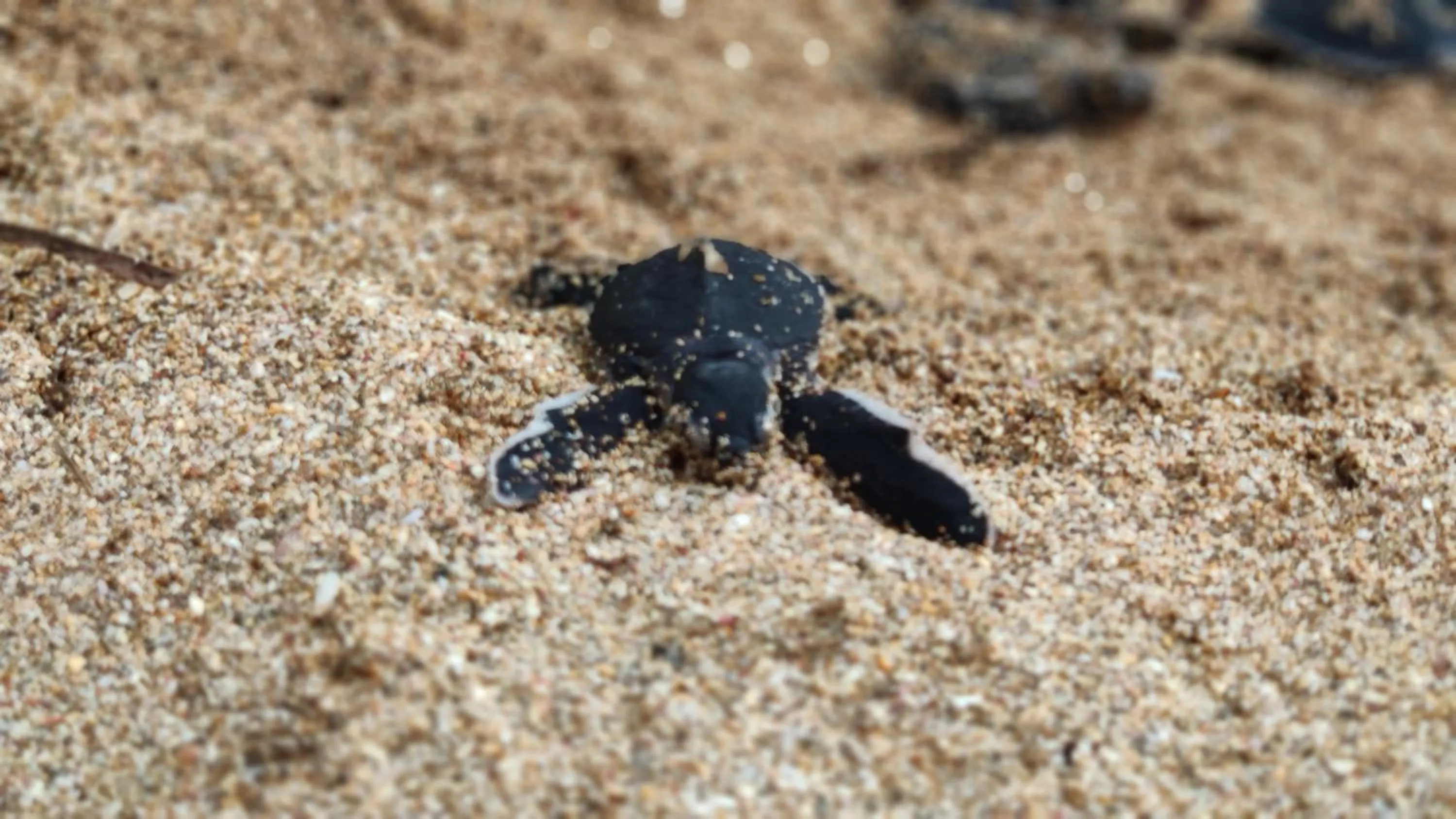 People in Belo Monte Hotel and Museum