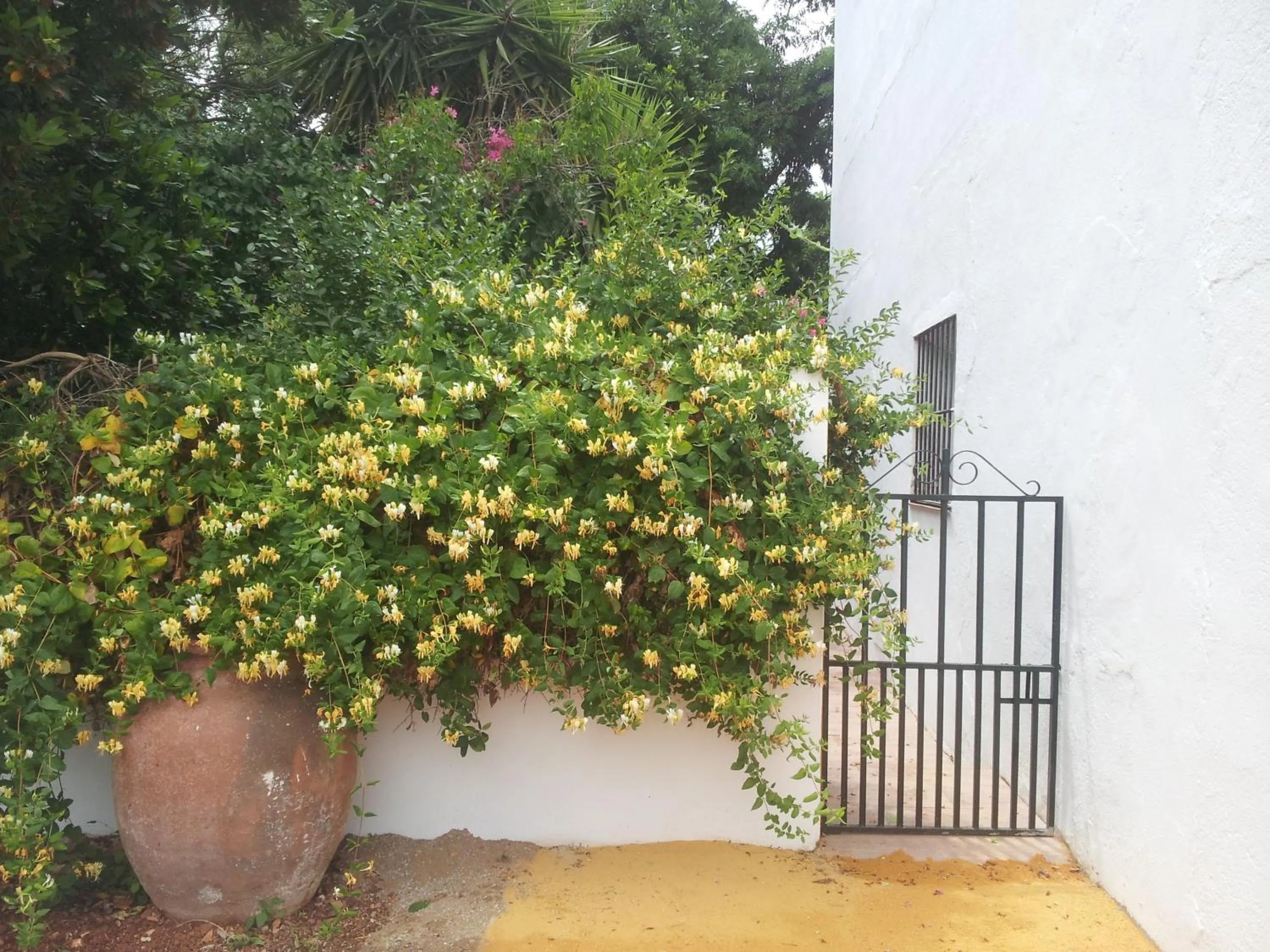 Garden view in Cortijo de Vega Grande