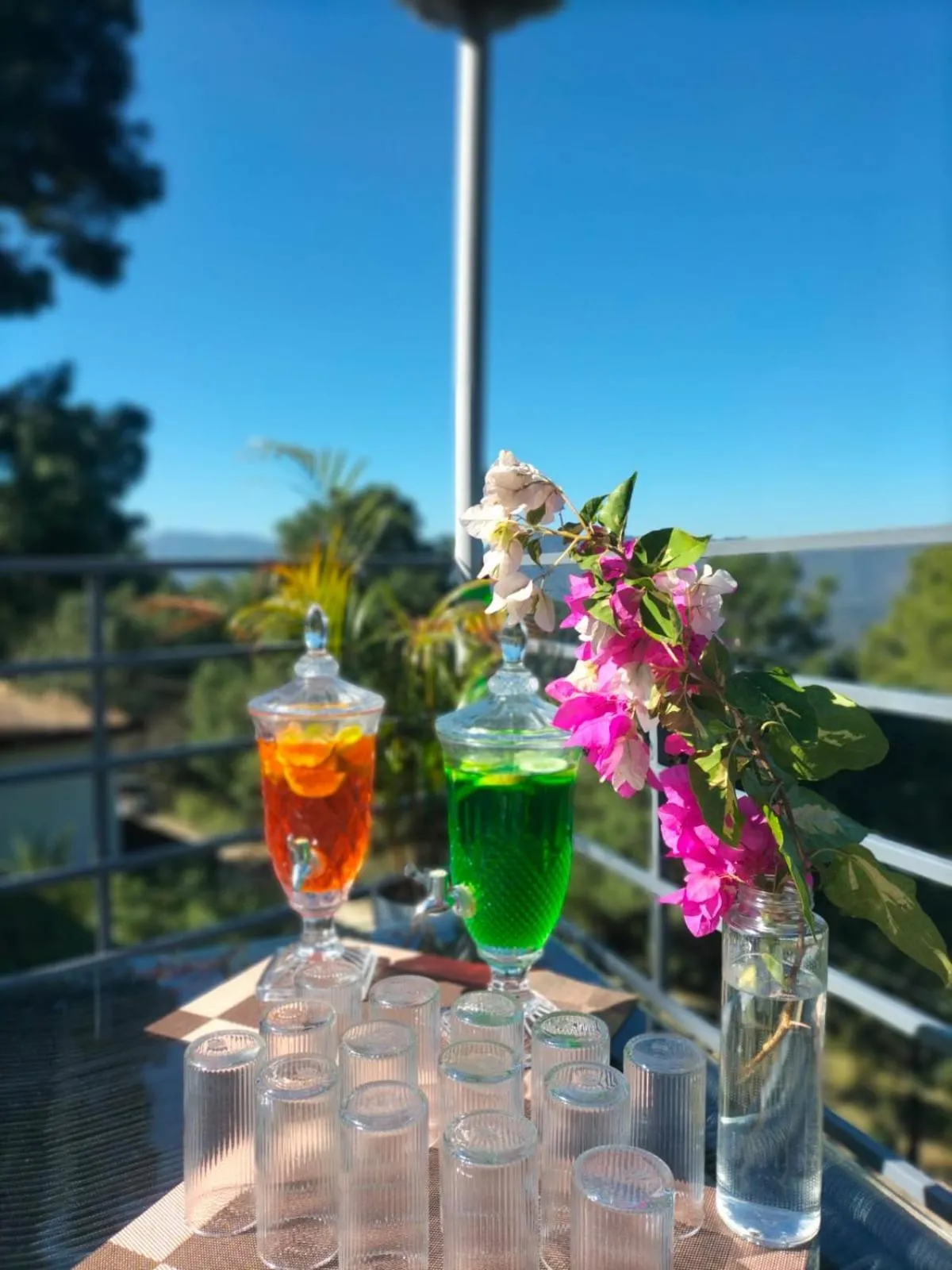 Food and drinks in Anupraas Resort