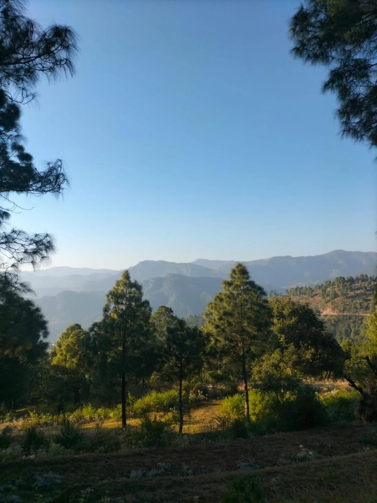 Natural landscape in Anupraas Resort