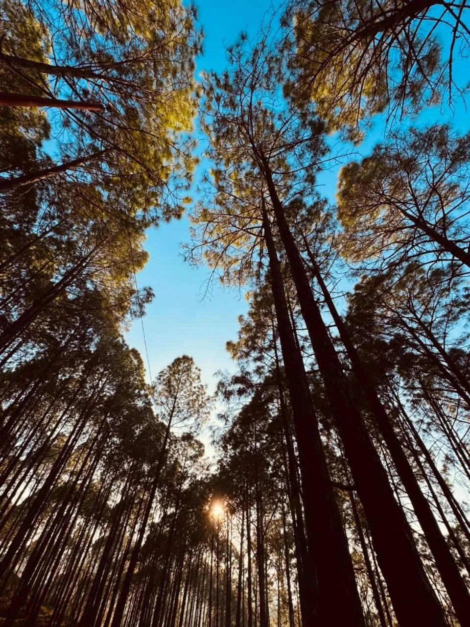 Natural landscape in Anupraas Resort