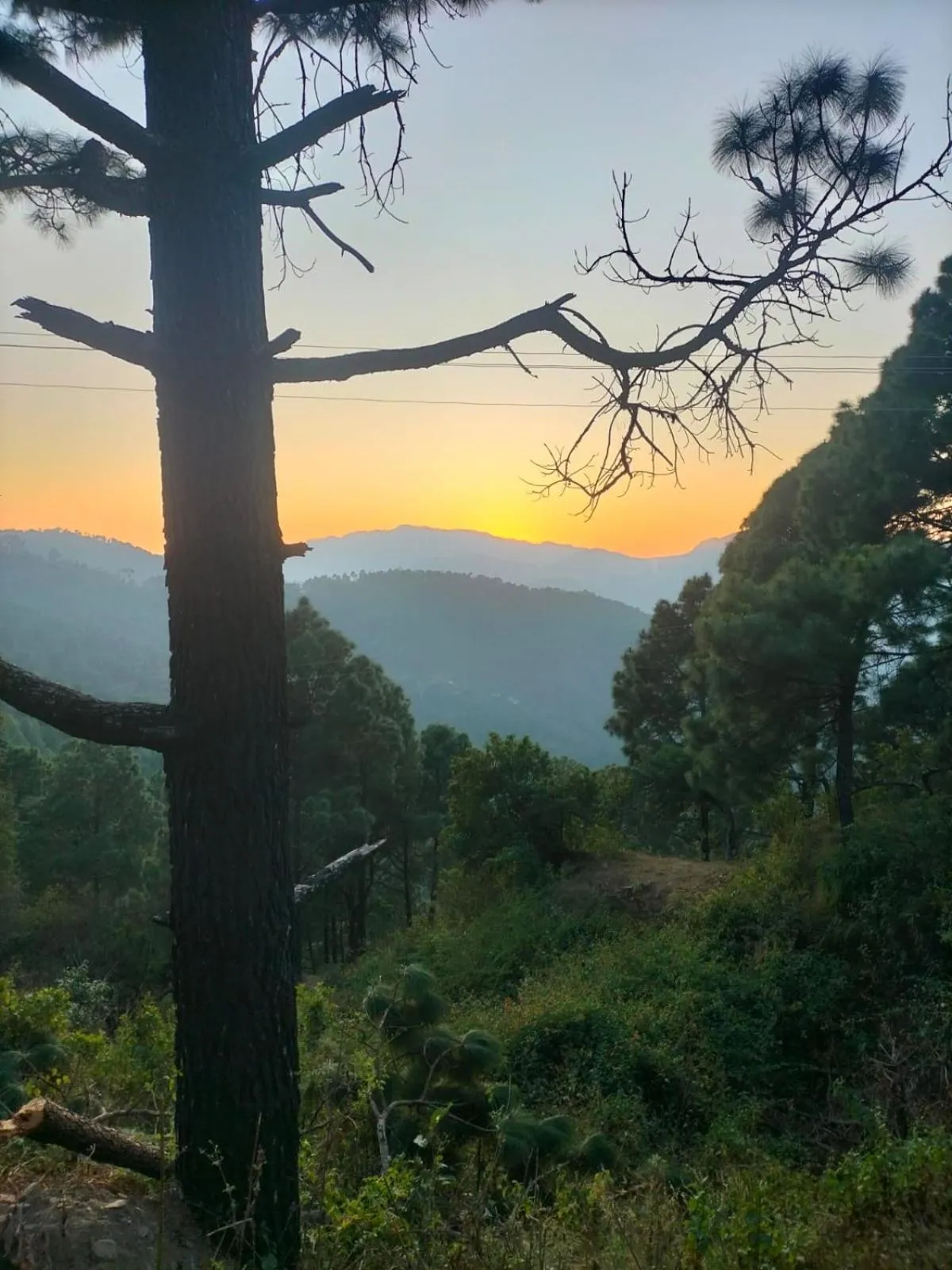 Natural landscape in Anupraas Resort