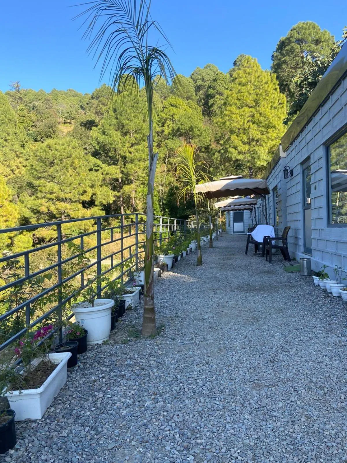 Area and facilities in Anupraas Resort