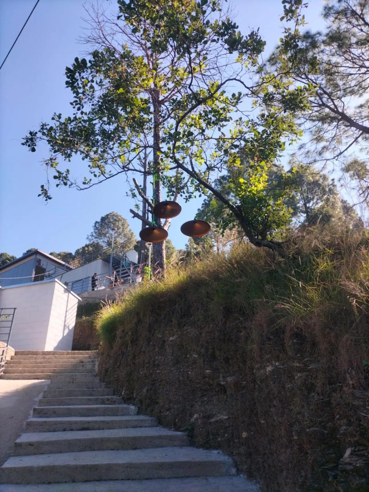 Natural landscape in Anupraas Resort
