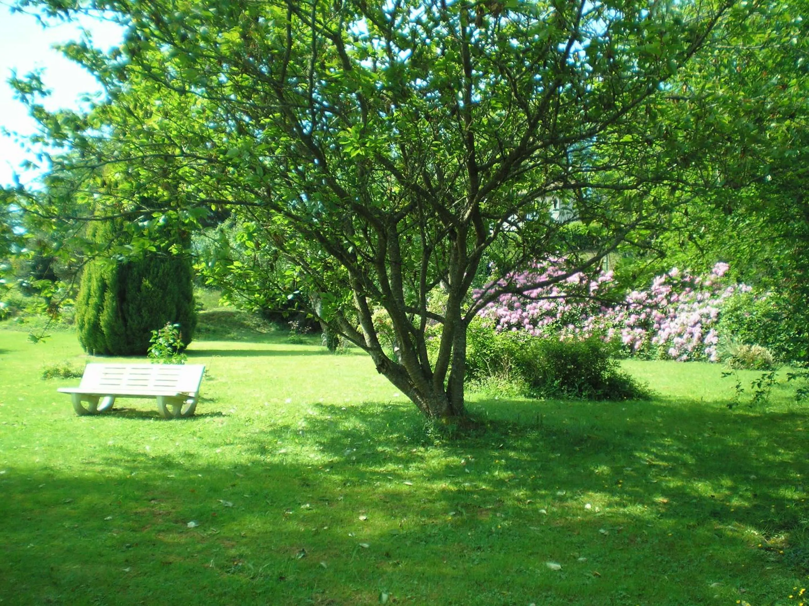 Garden in La Cremaillere