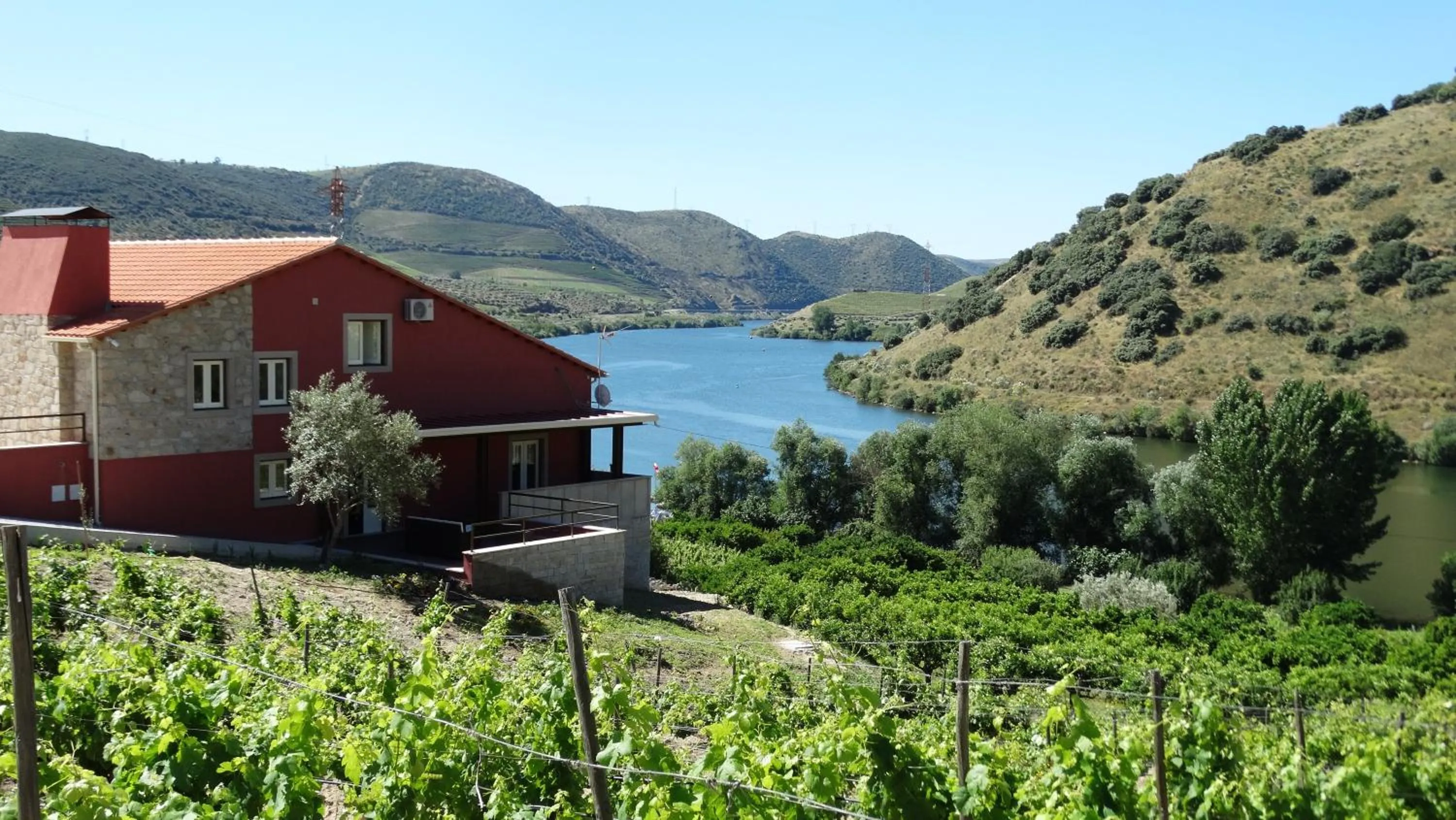 Olhares do Douro