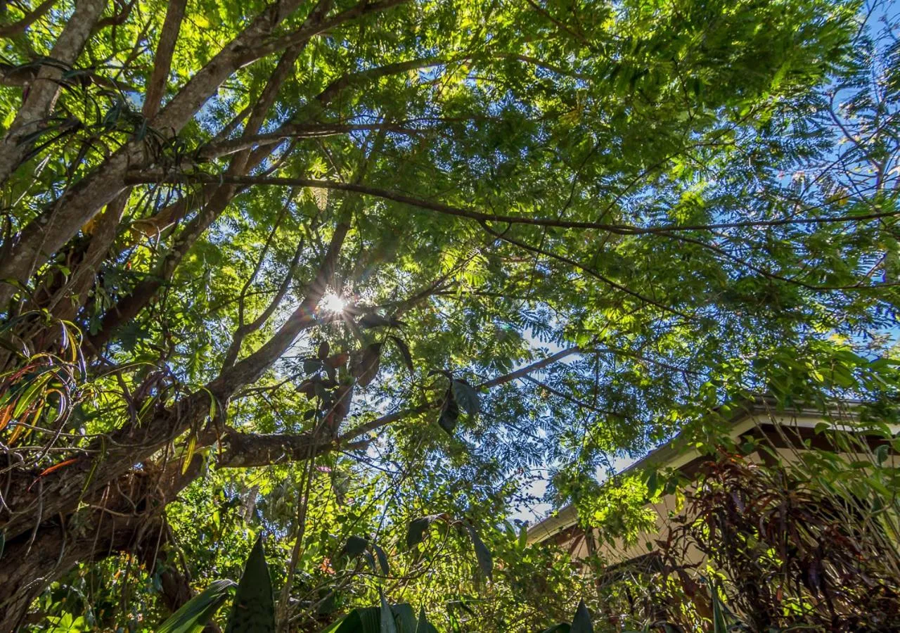 Area and facilities in Hotel Colinas del Sol