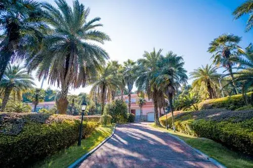 Saint Tropez Hotel Saint Tropez Hotel