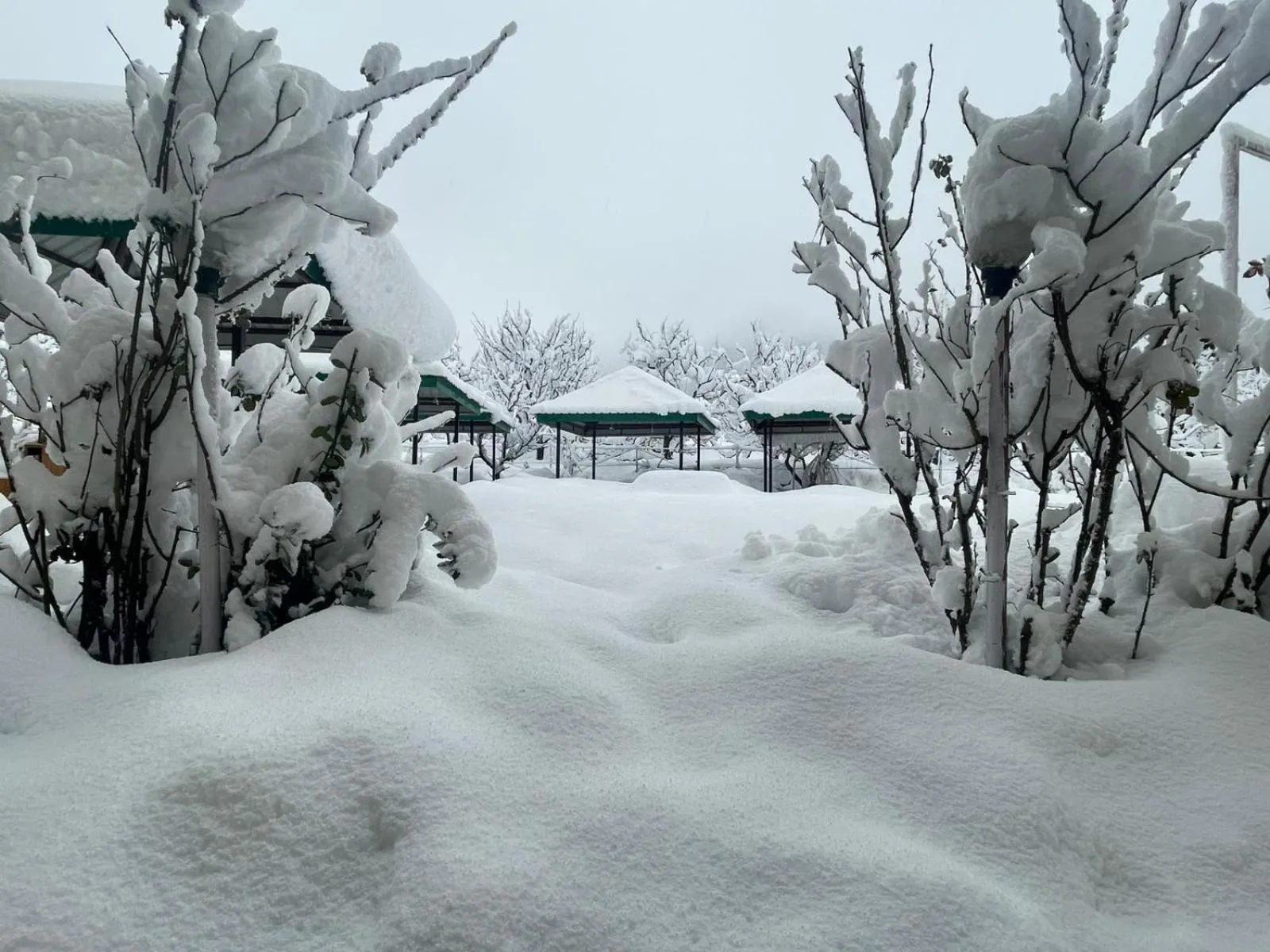 Hotel Celebriti Inn by London vista Hotels - Old Manali