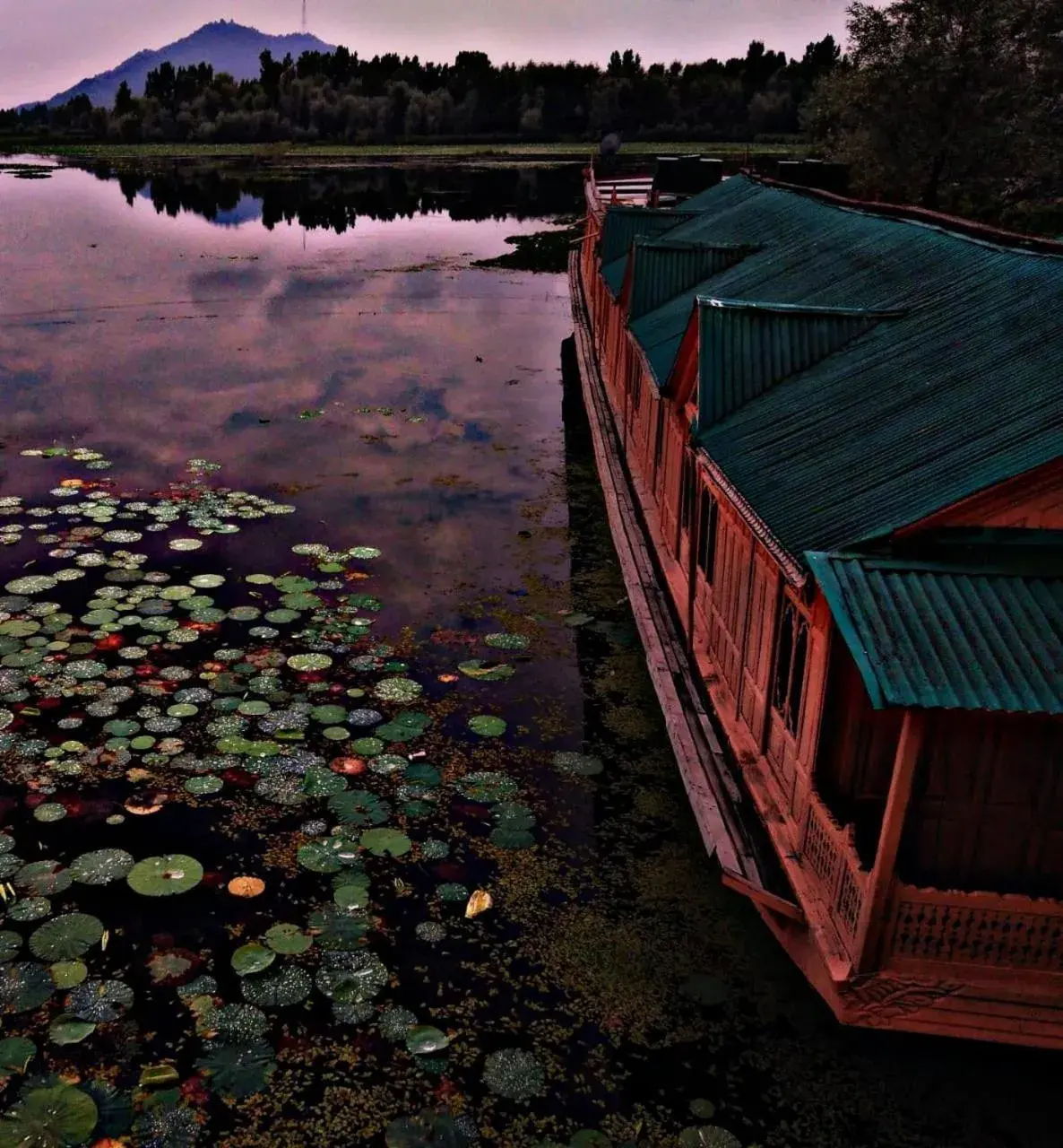 Bird's eye view in Kings Houseboats Bird's eye view in Kings Houseboats