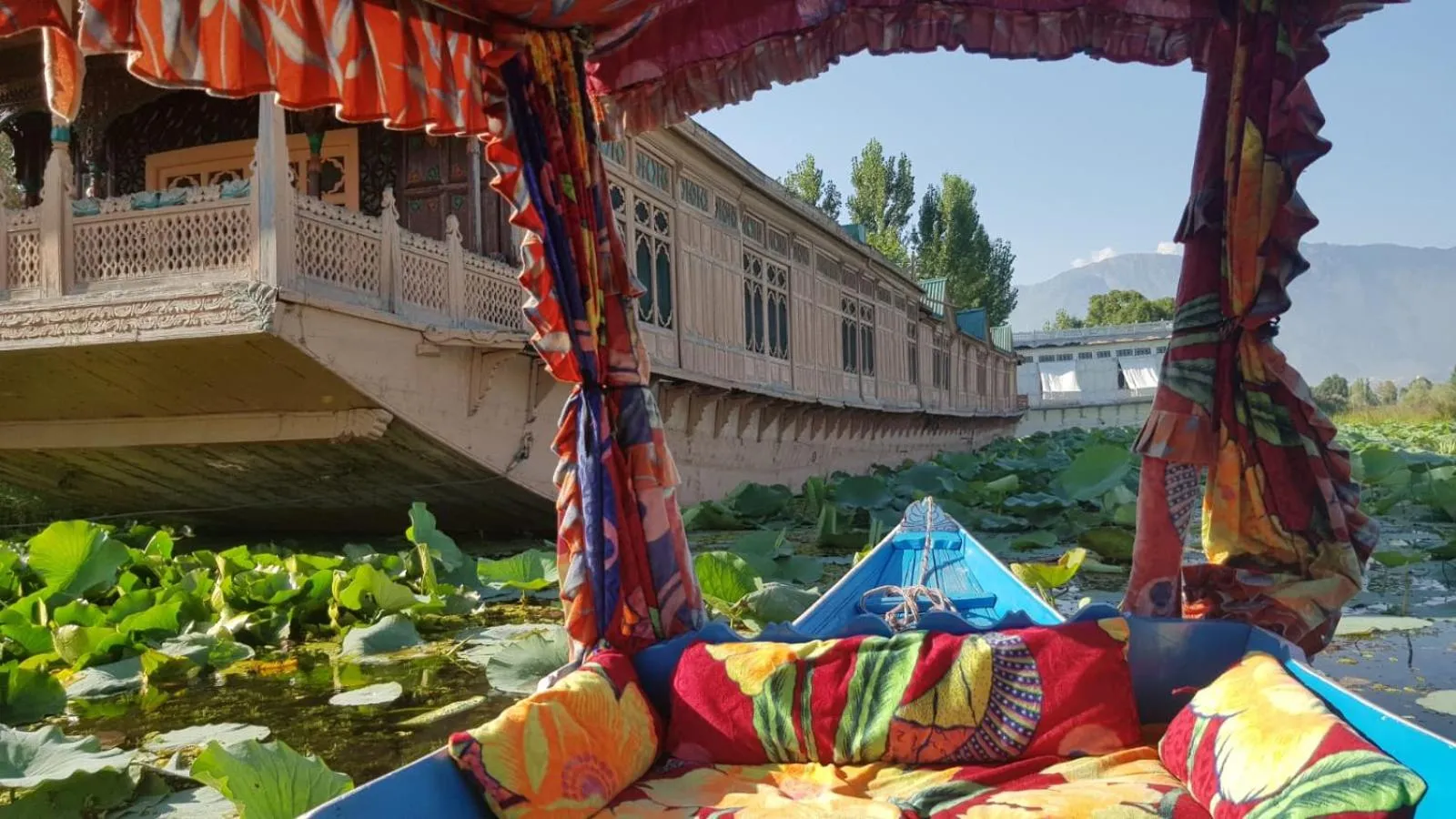 View (from property/room) in Kings Houseboats