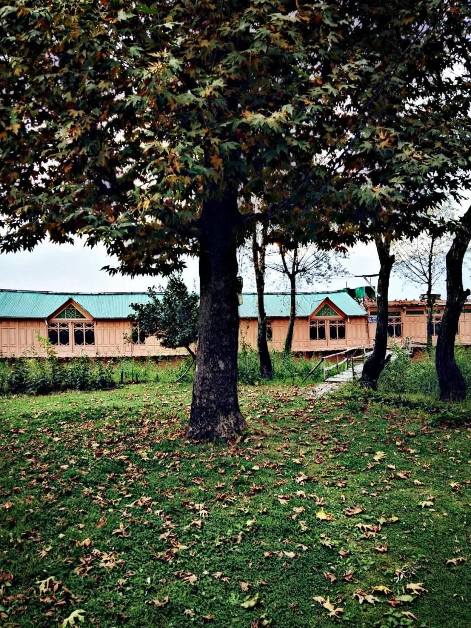 Area and facilities in Kings Houseboats